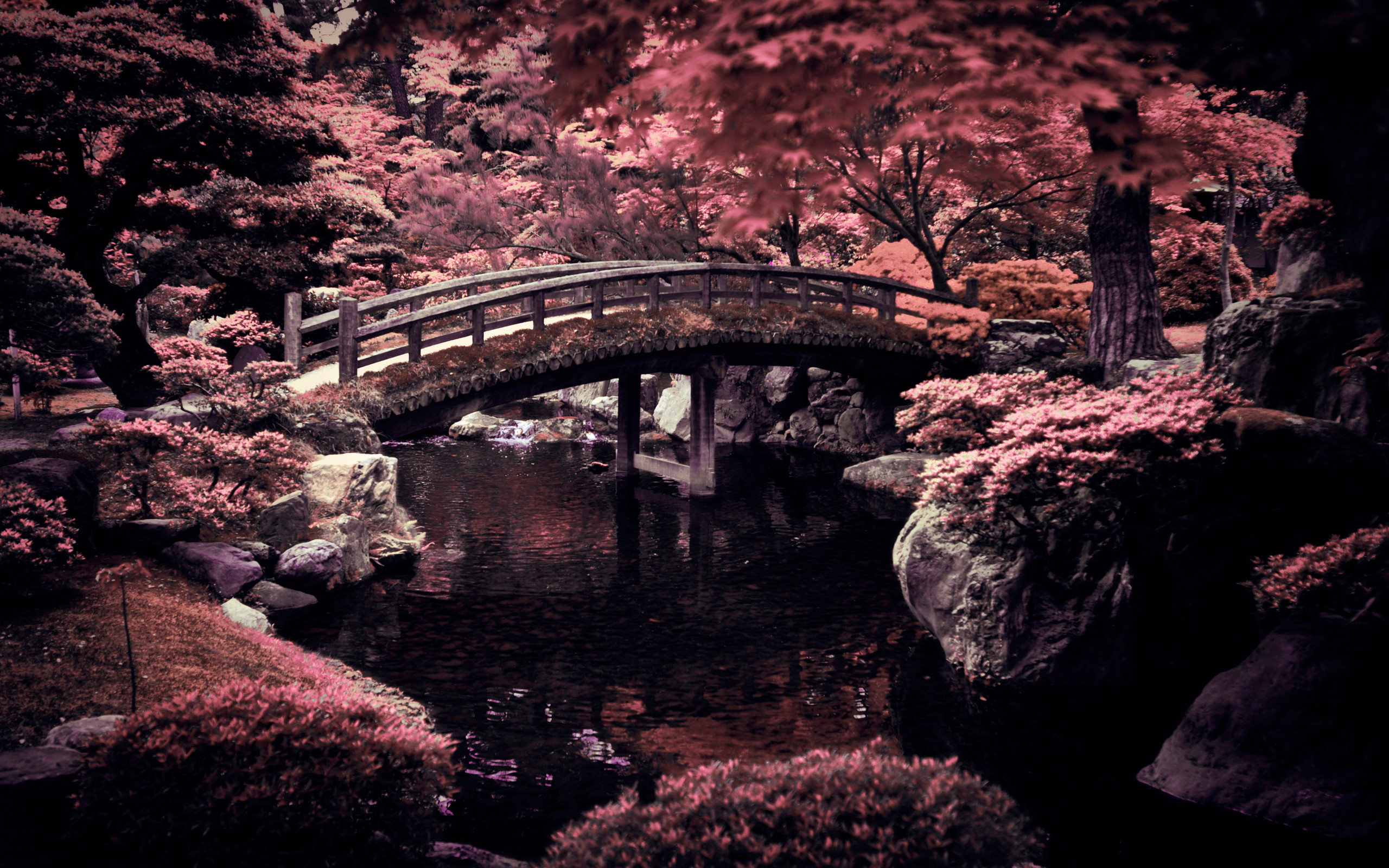 Japanese Desktop Wallpaper. Background. Photo. Image