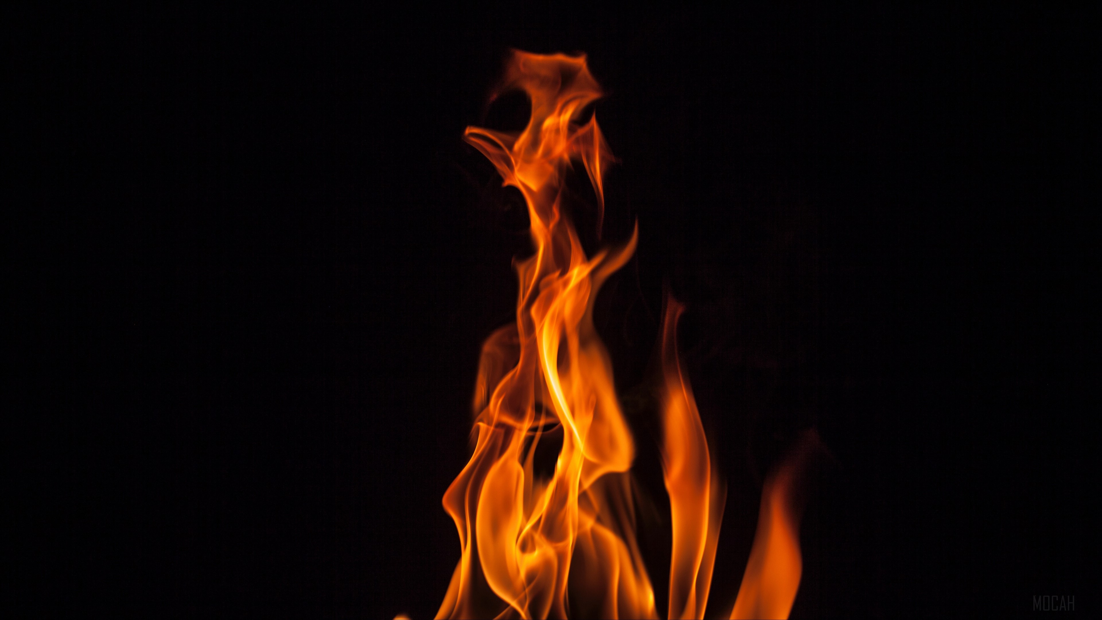 fire, flame, bonfire, dark, burning 4k Gallery HD Wallpaper