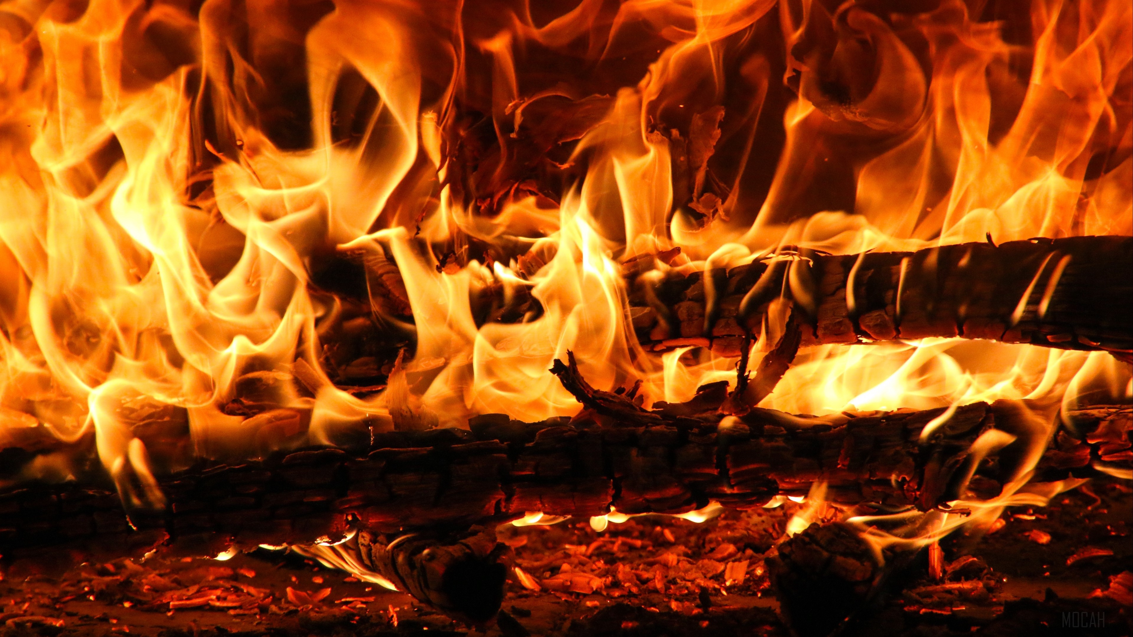 bonfire, fire, embers, ash, flame, dark 4k Gallery HD Wallpaper