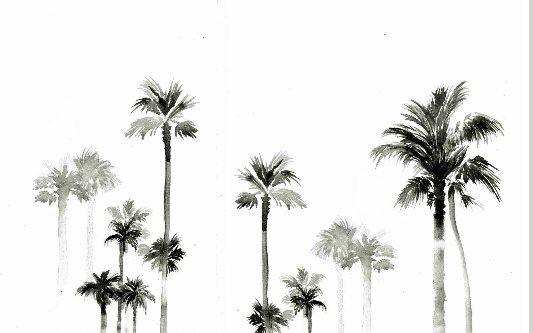 Download Summer Minimalist Palm Tree Laptop Wallpaper