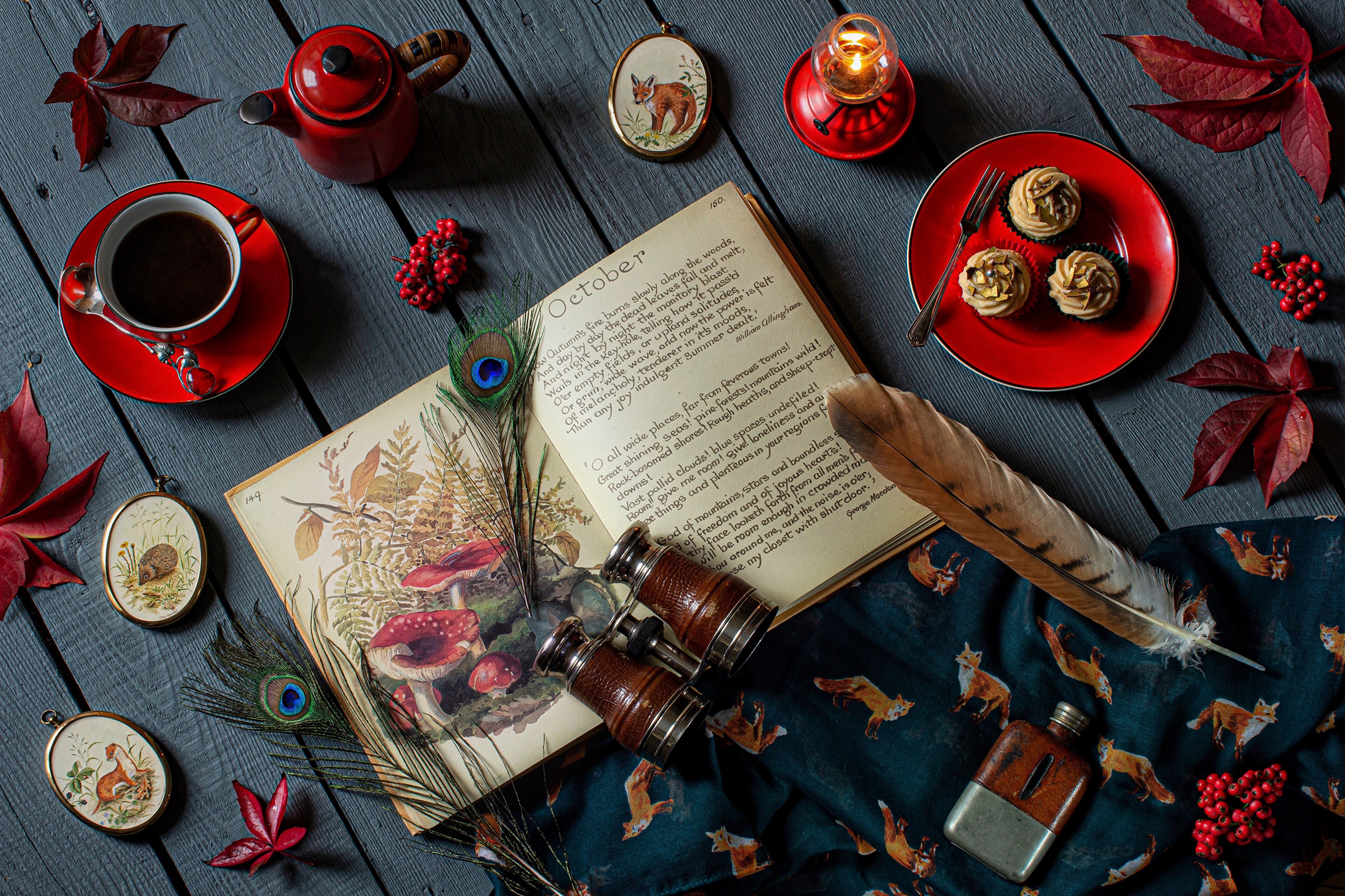 4K, Feathers, Tea, Berry, Book, Foliage, Wood planks Gallery HD Wallpaper