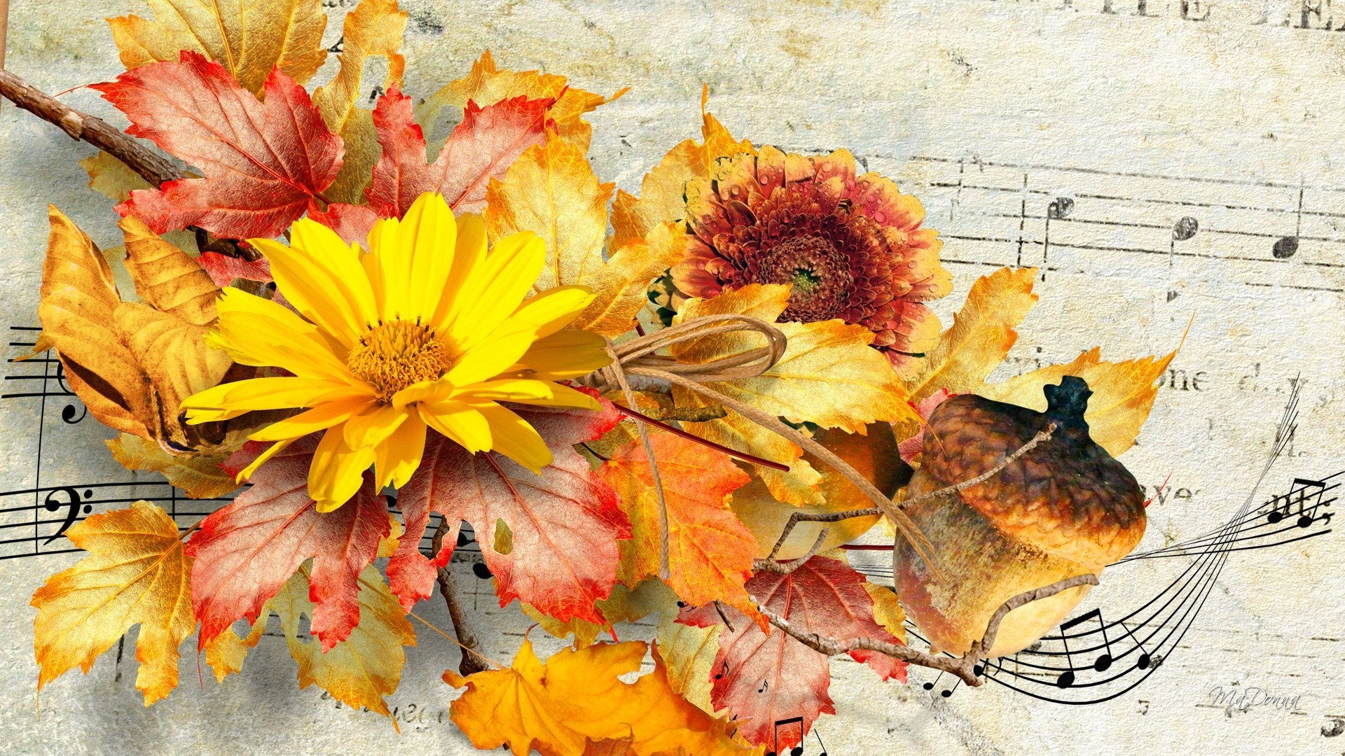 Beautiful Fall Flowers Wallpaper