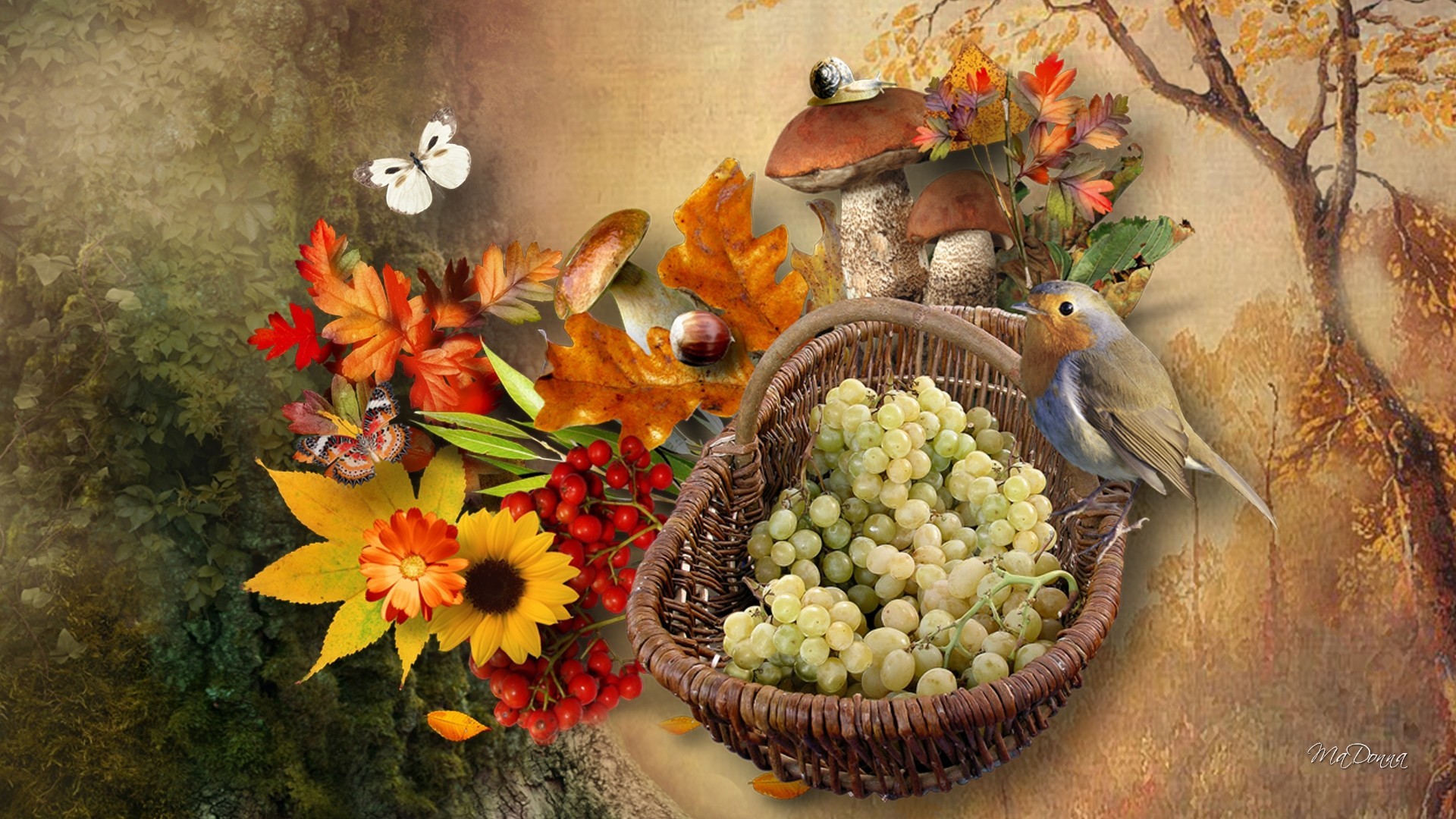 Beautiful Fall Flowers Wallpaper