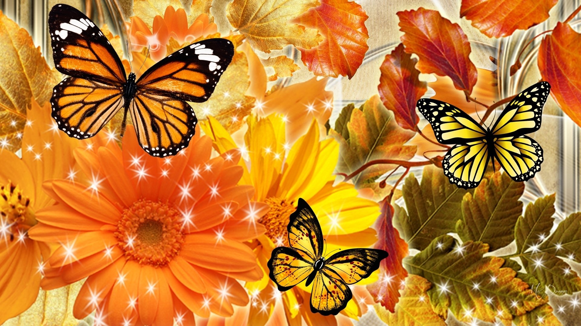 Autumn Flowers and Butterflies