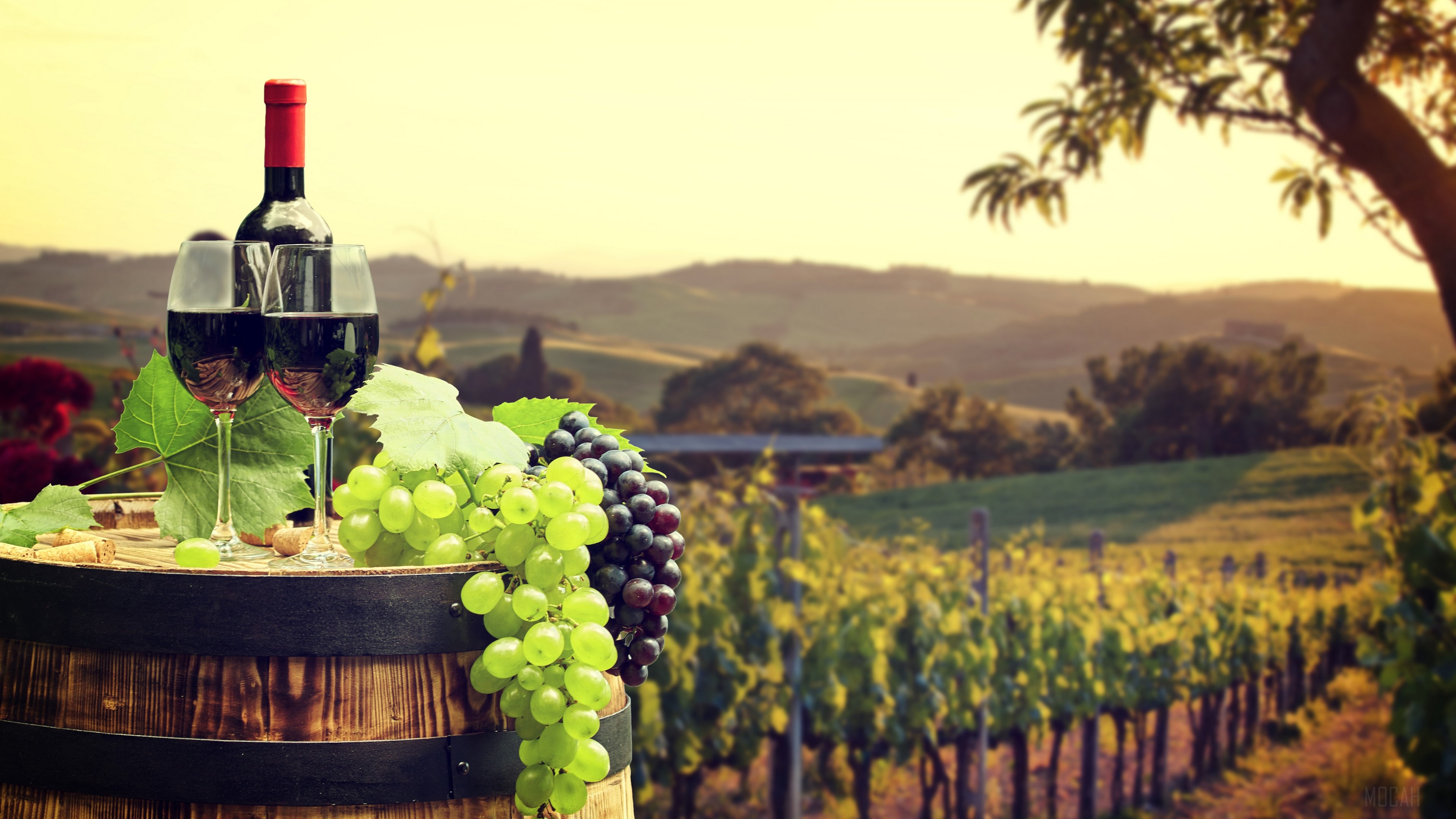 Barrel, Glass, Grapes, Vineyard, Wine 4k Gallery HD Wallpaper