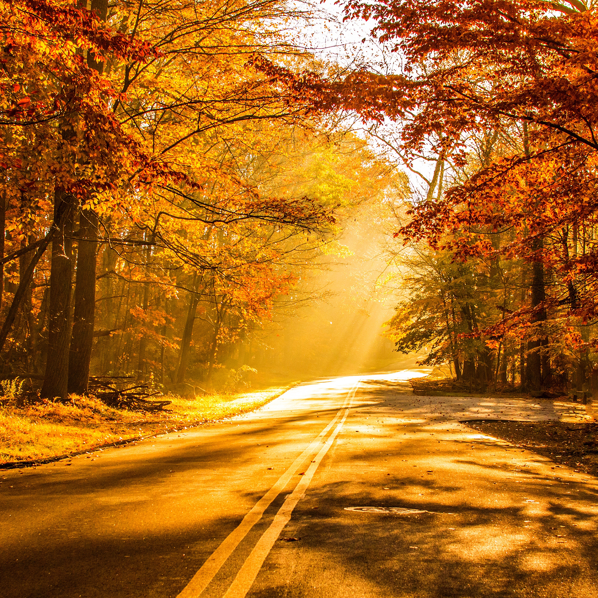 4K Fall Wallpaper for Desktop, iPad & iPhone