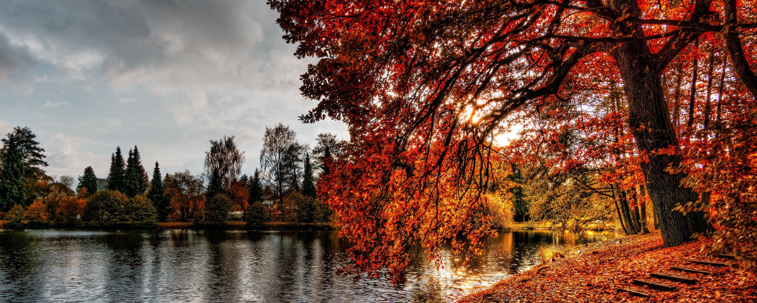 Download wallpaper 2560x1024 autumn, park, foliage, lake ultrawide monitor HD background