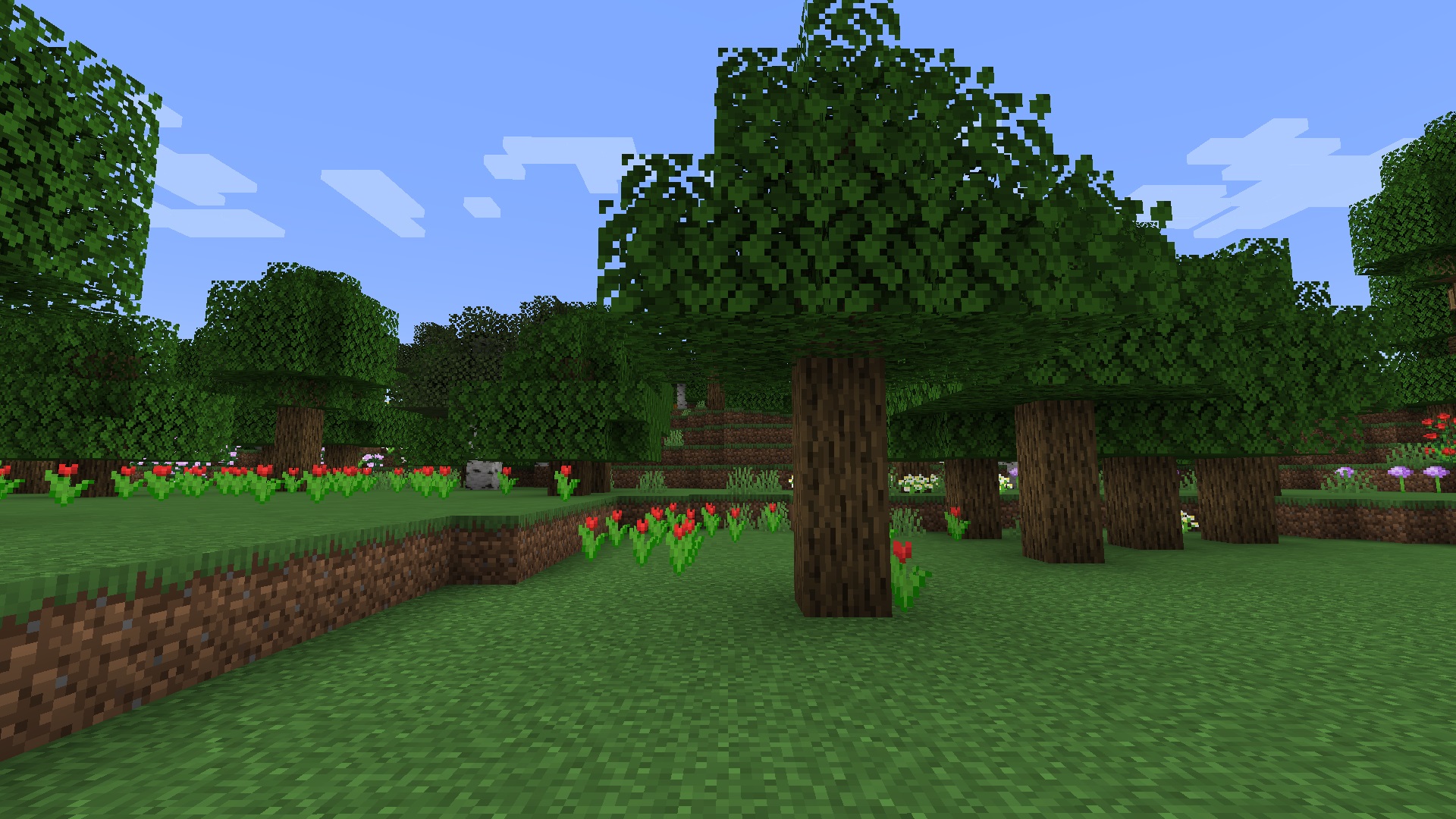 minecraft biomes wallpaper