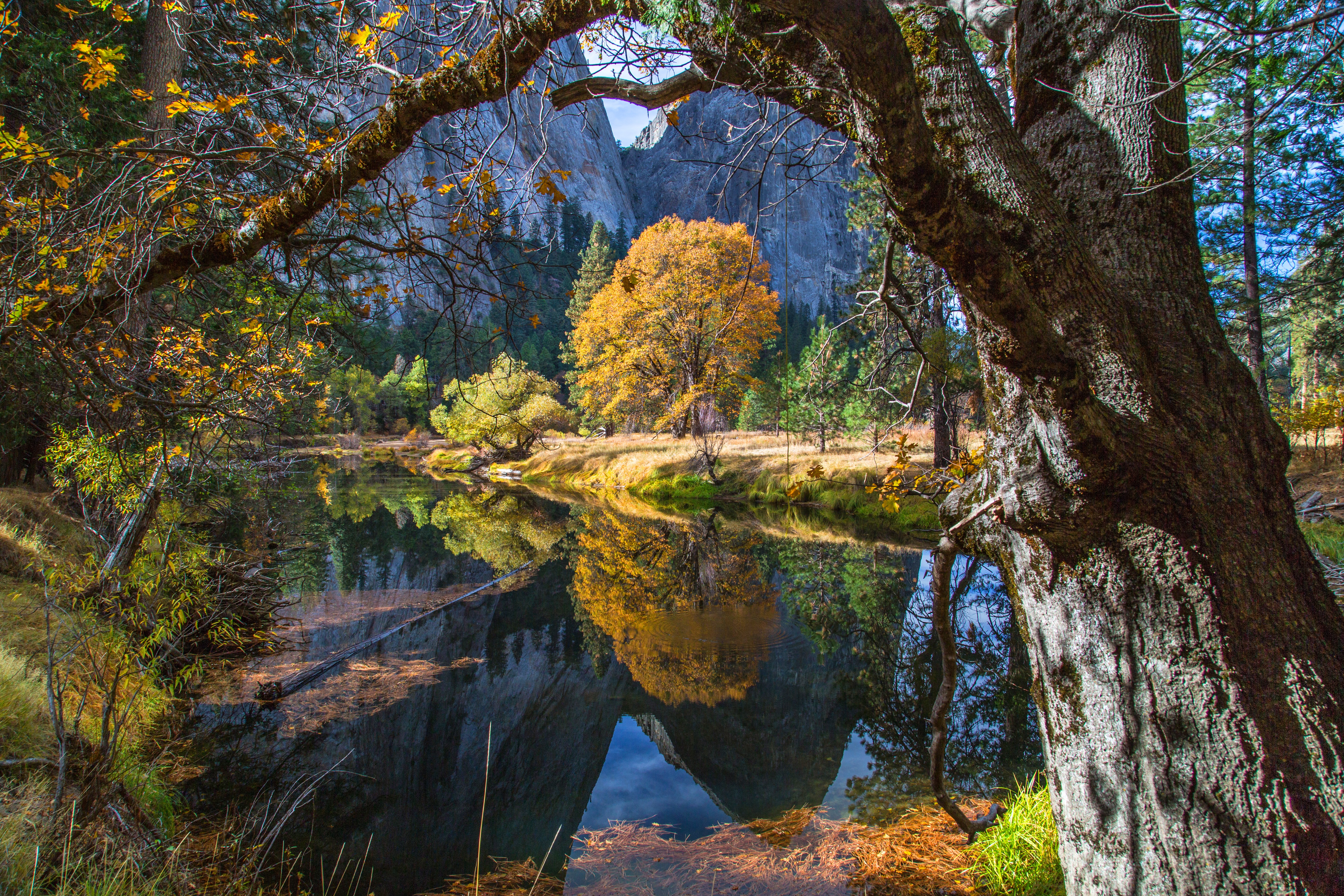 OSX, forest, 5k, 4k, mountains, Yosemite, apple, 8k Gallery HD Wallpaper