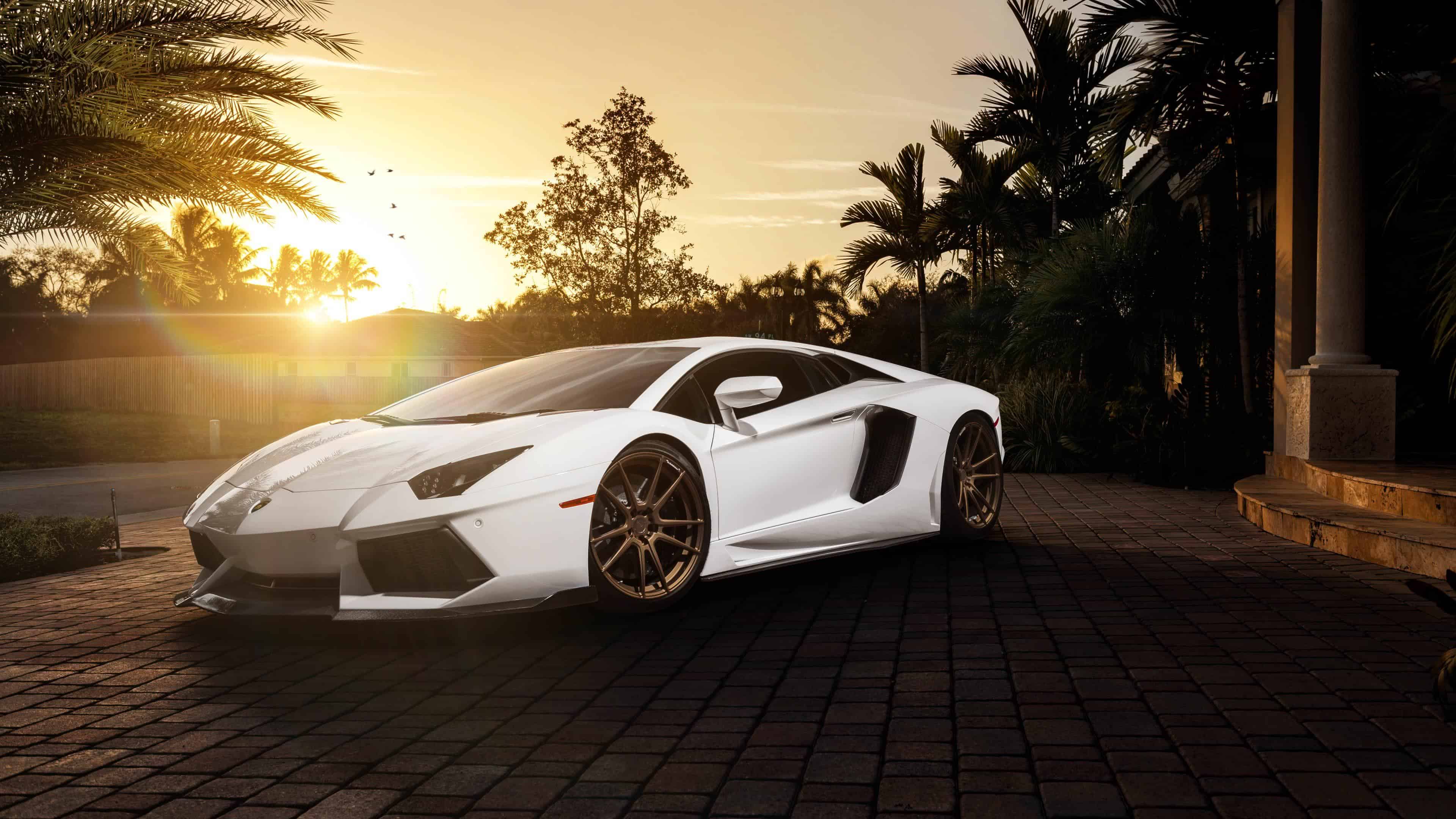 White Lamborghini UHD 4K Wallpaper