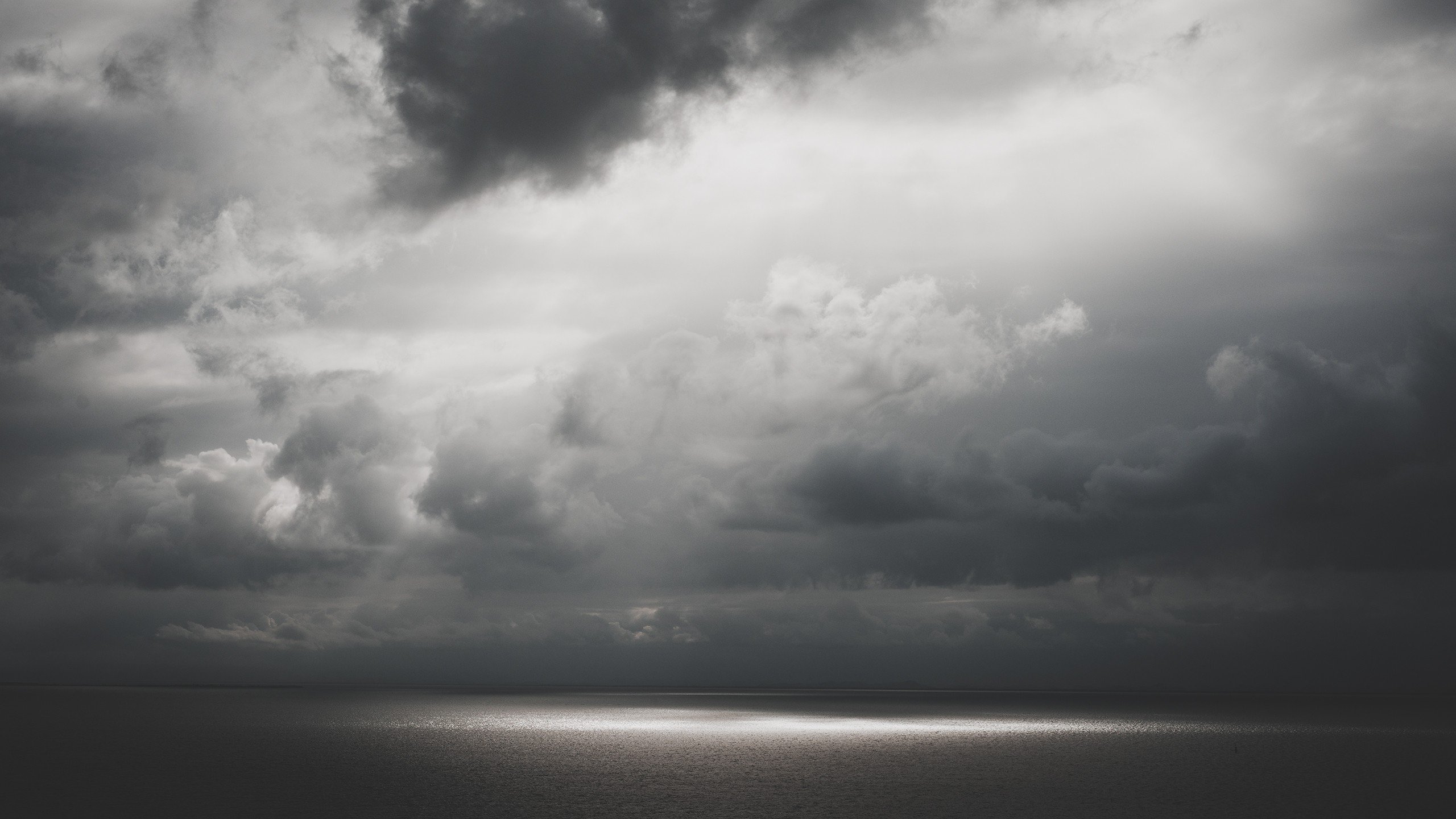 Sliver 4K wallpaper for your desktop or mobile screen free and easy to download