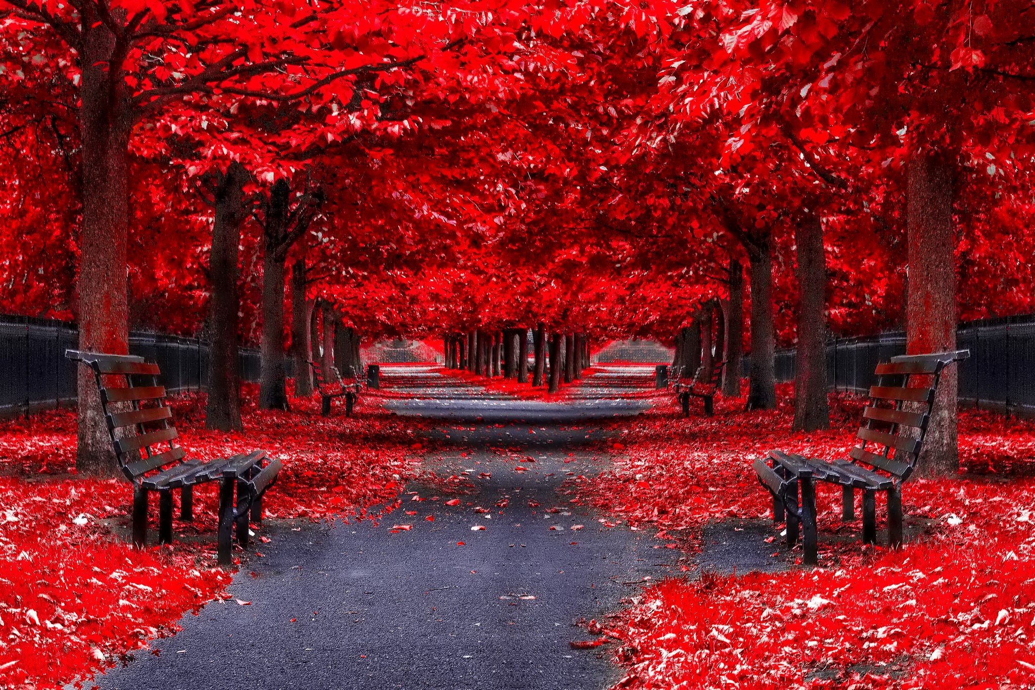 2048x1366 fall computer wallpaper background Gallery HD Wallpaper