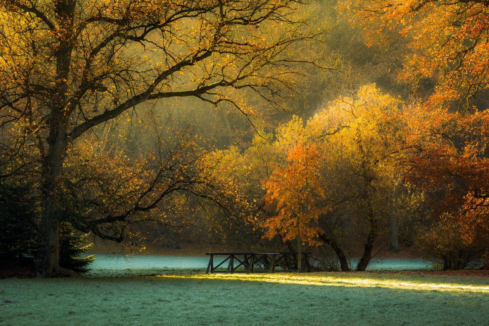 Wallpaper, 2048x1366 px, Czech Republic, fall, foliage, frost, grass, landscape, morning, nature, park, sunlight, trees 2048x1366