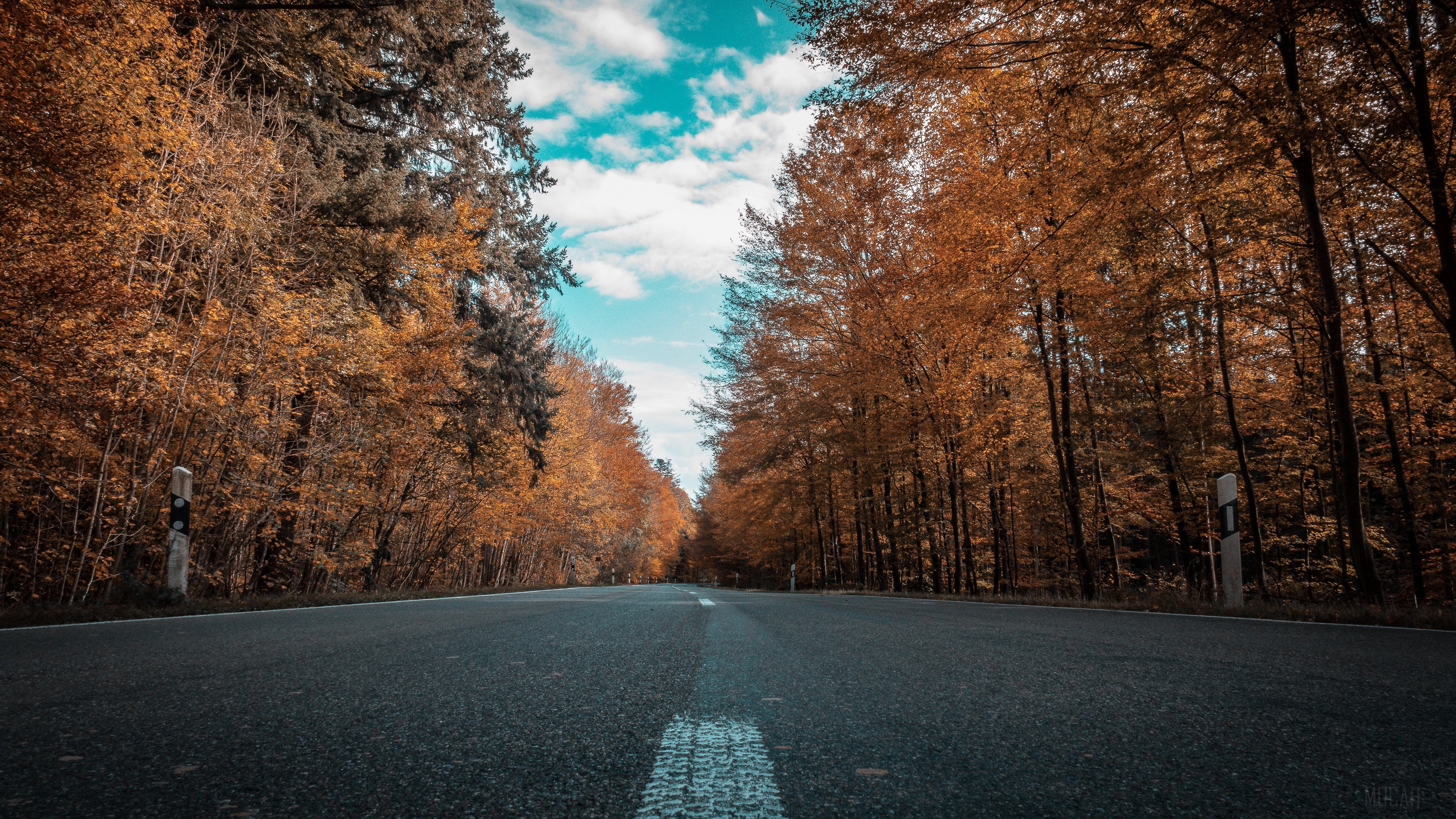 road, autumn, trees 4k Gallery HD Wallpaper