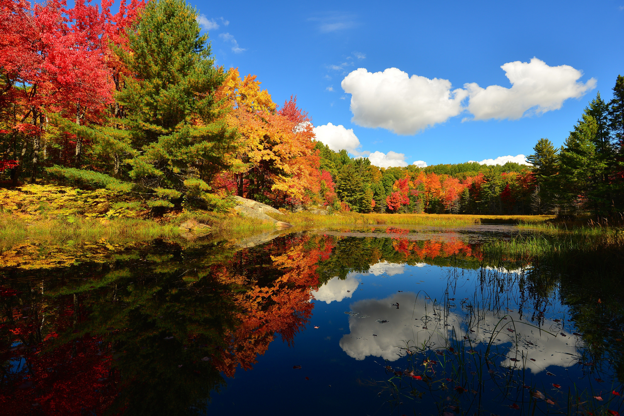 Picture Autumn Nature Pond Trees 2048x1366