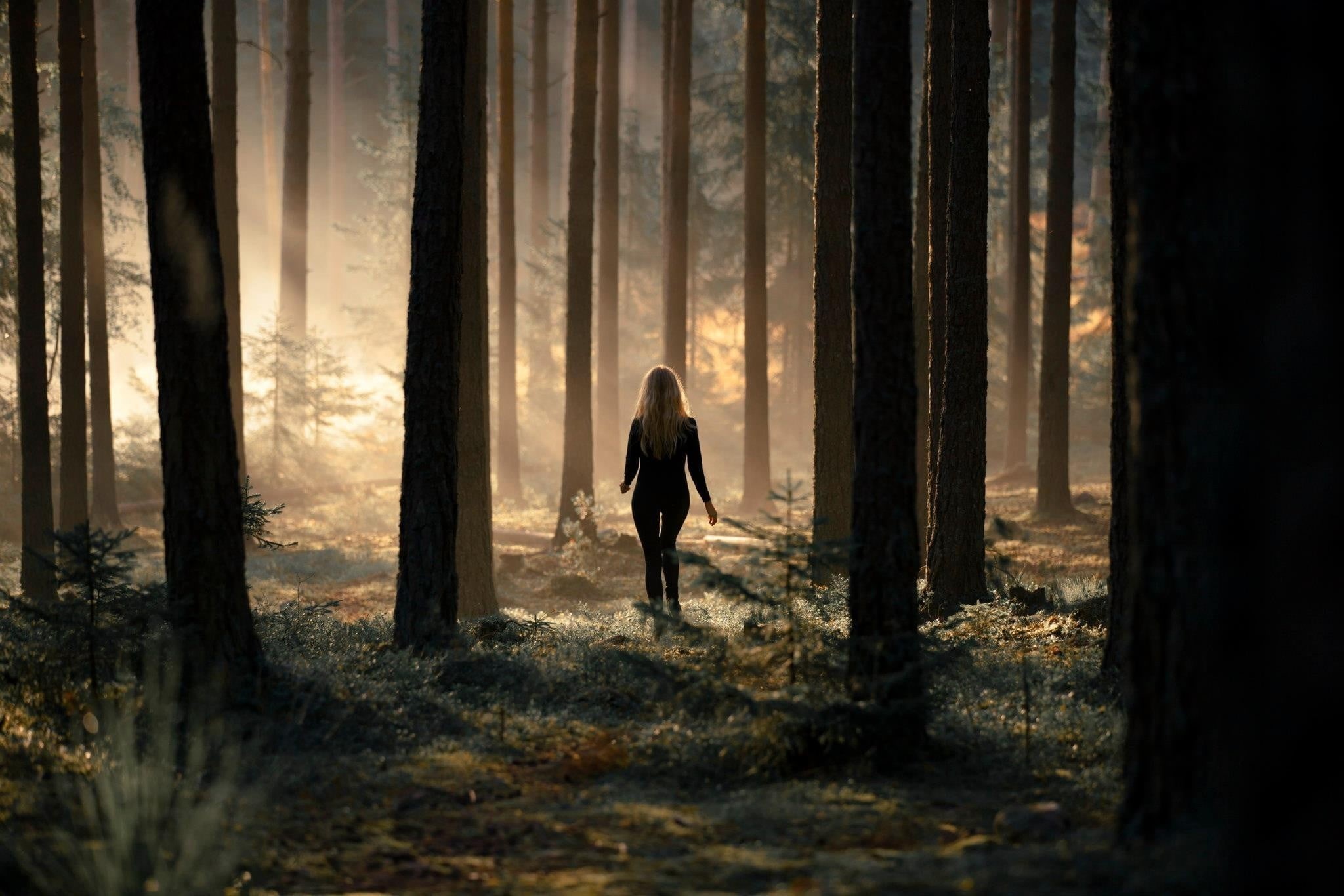 Wallpaper / outdoors, nature, 1080P, one Person, tranquil Scene, trunk, autumn, beautiful, shrubs, atmosphere, brown, depression, beauty, mystery, woodland free download