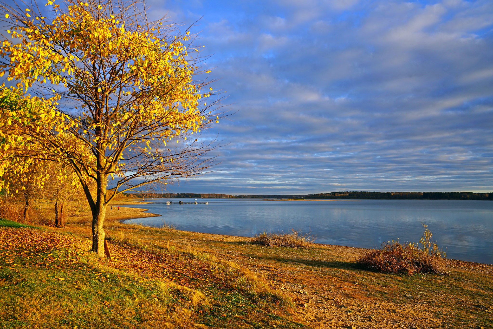 Wallpaper / Russia, nature, fall, lake, trees free download