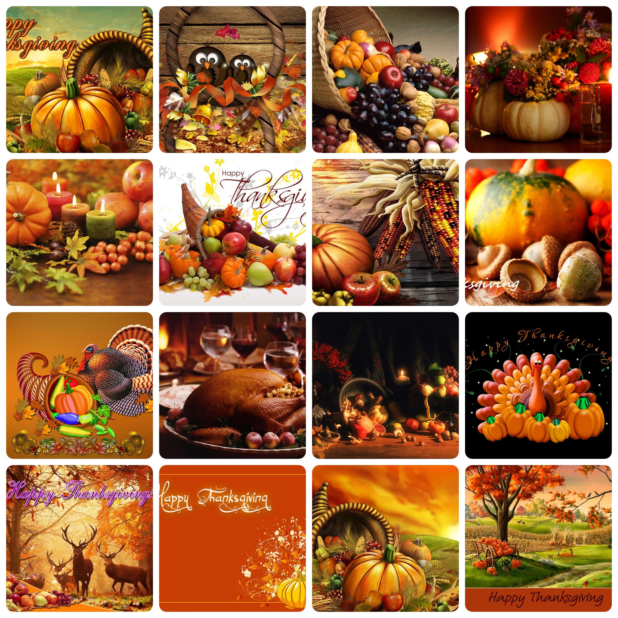 Download Thanksgiving HD Wallpapers