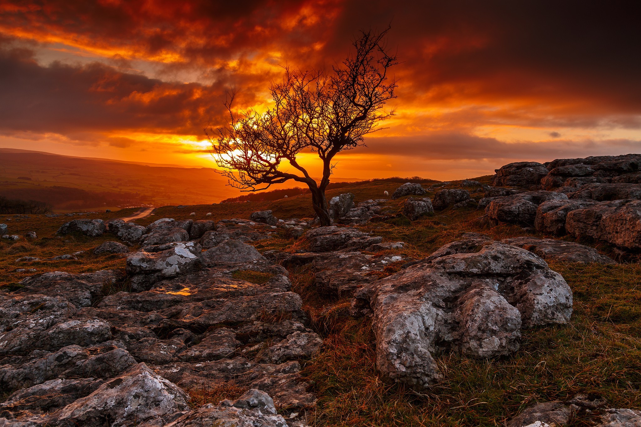 Wallpaper, trees, landscape, sunset, sea, hill, rock, nature, sunrise, evening, morning, coast, wilderness, dusk, plateau, cloud, tree, autumn, mountain, dawn, 2048x1366 px 2048x1366
