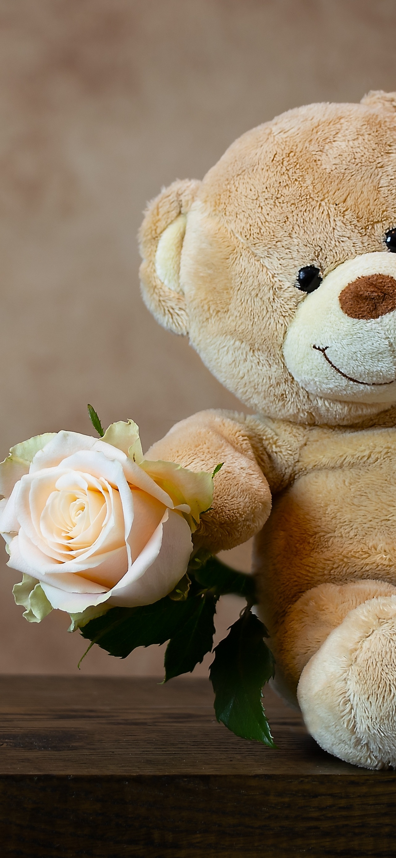 Teddy bear Wallpaper 4K, Rose, Cute toy, Gift