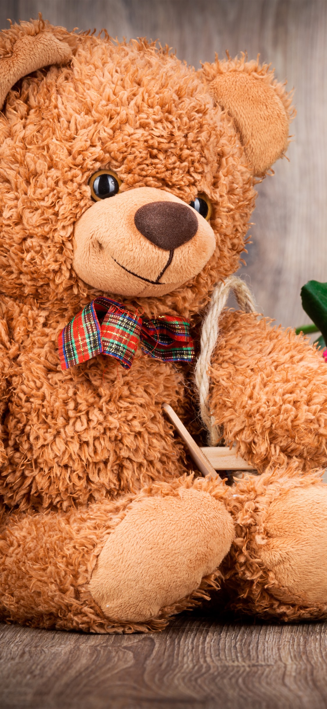 Teddy Bear And Colorful Roses, Romantic 1242x2688 IPhone 11 Pro XS Max Wallpaper, Background, Picture, Image
