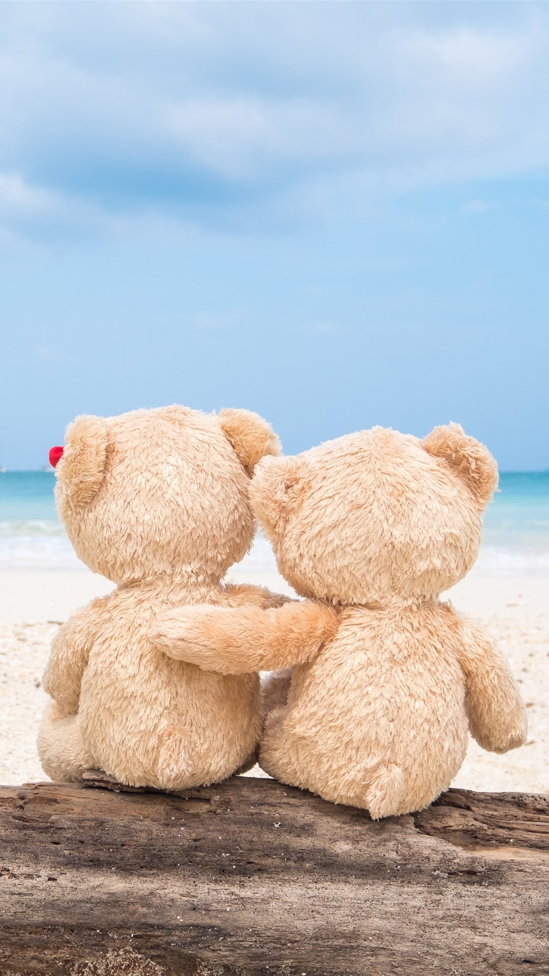 Teddy Bear, Back View, Beach, Sea 1242x2688 IPhone 11 Pro XS Max Wallpaper, Background, Picture, Image