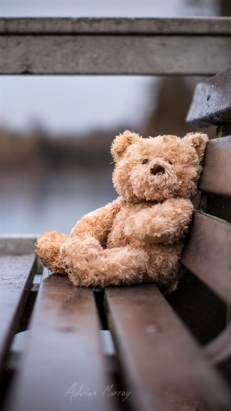 Free download Lonely Bear Bench Gray iPhone 8 Wallpaper Free Download [750x1334] for your Desktop, Mobile & Tablet. Explore Teddy Bear Aesthetic Wallpaper. Teddy Bear Wallpaper, Cute Teddy Bear