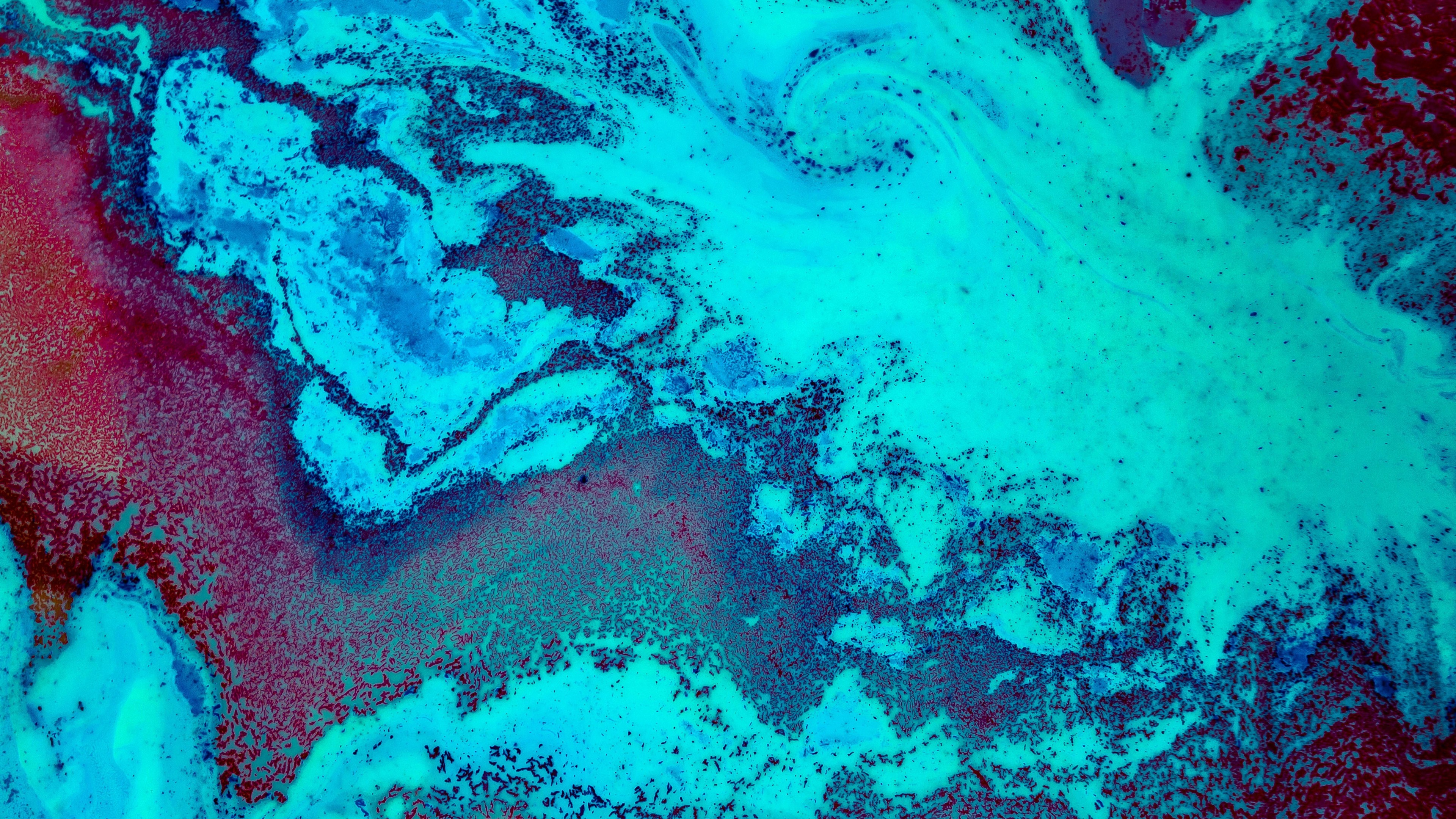 Wallpaper 4k Coral Reef 4k Wallpaper