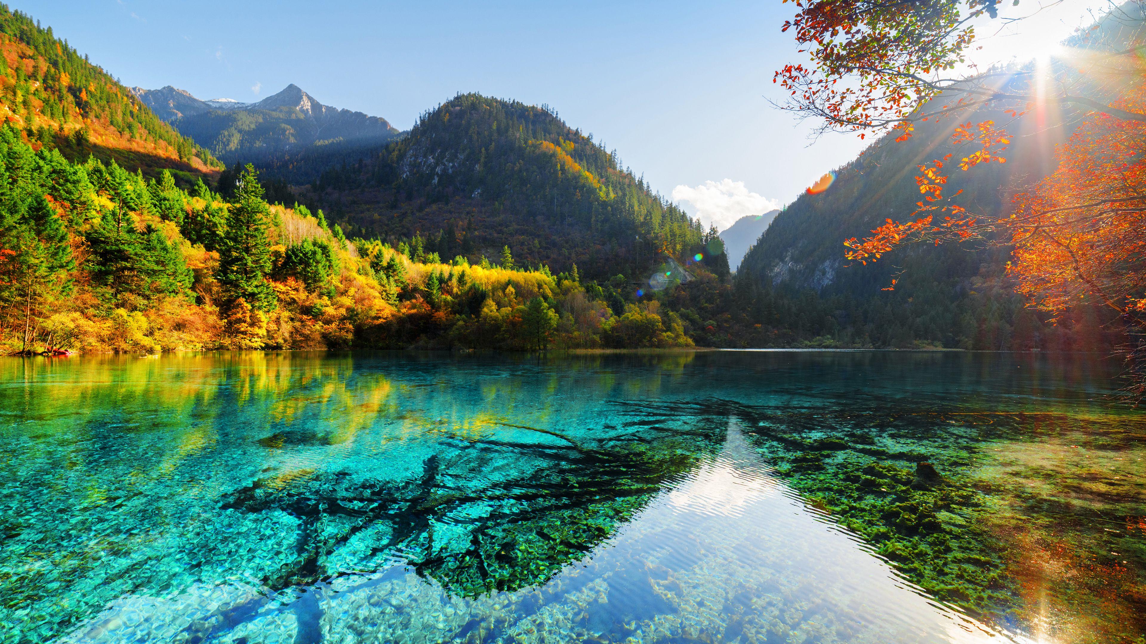 Sunny Mountain Wallpaper