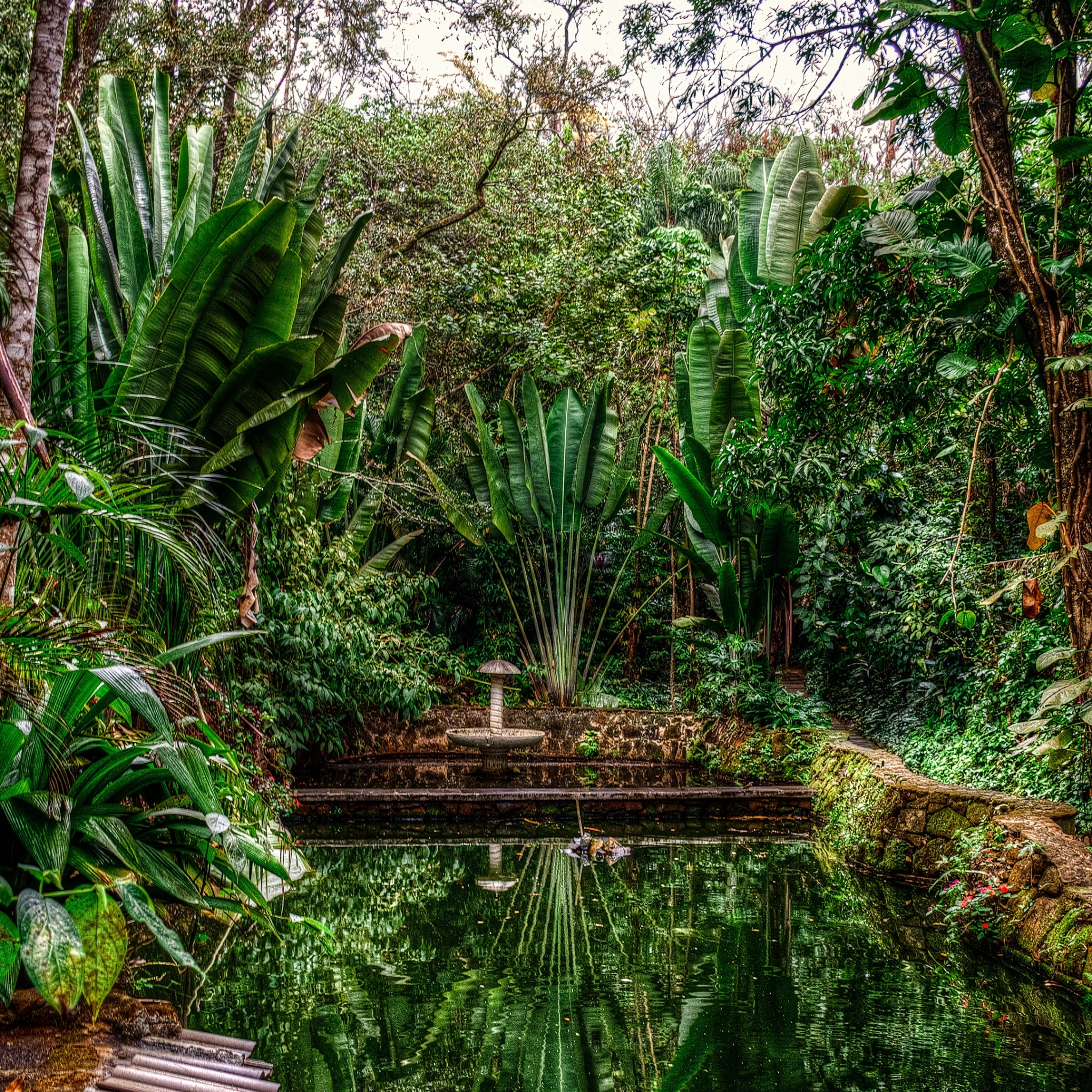 Wallpaper 4k lagoon, trees, green, tranquility, sao paulo, brazil 4k Wallpaper