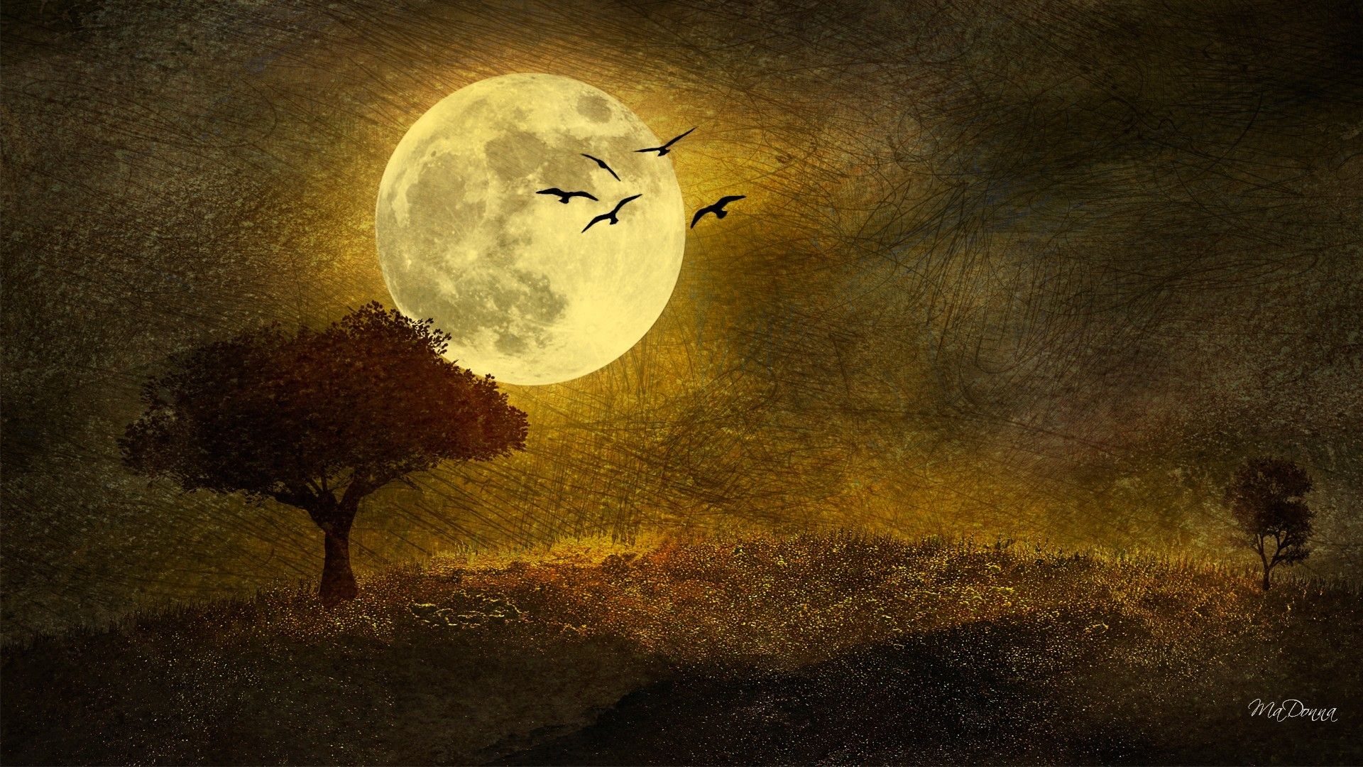 Autumn Moon Wallpaper