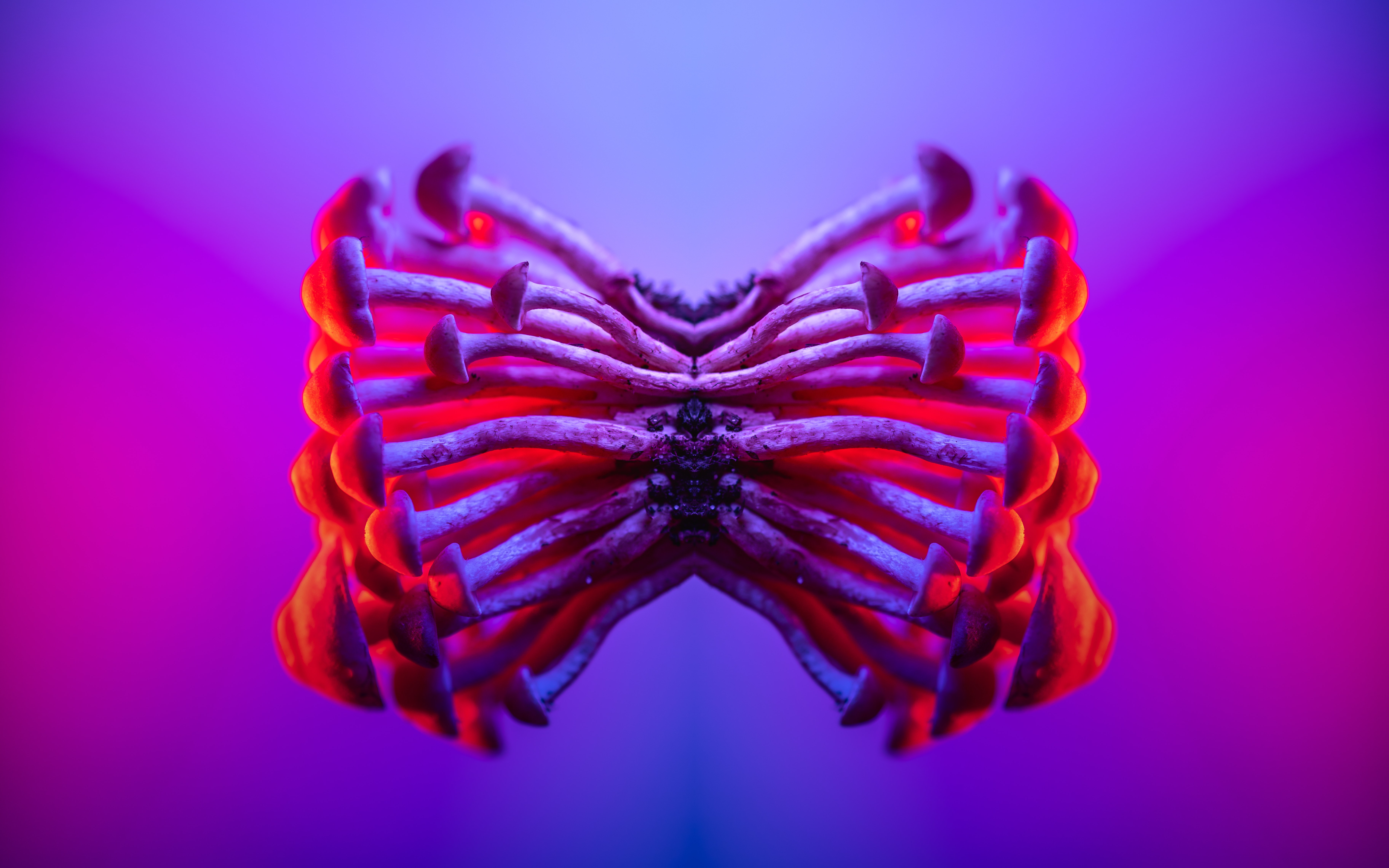 Lsd Photo, Download The BEST Free Lsd & HD Image