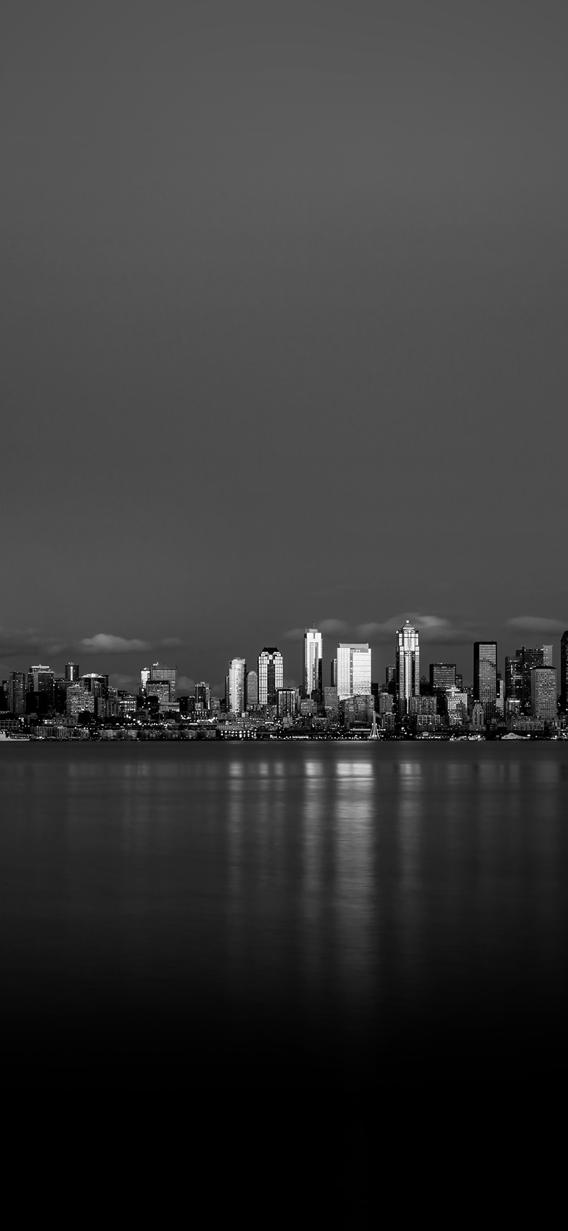 night city view dark bw nautre art