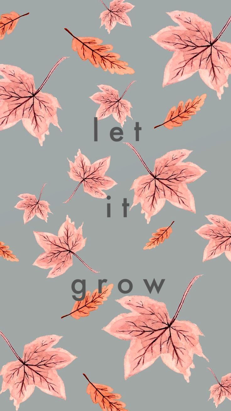 aesthetics