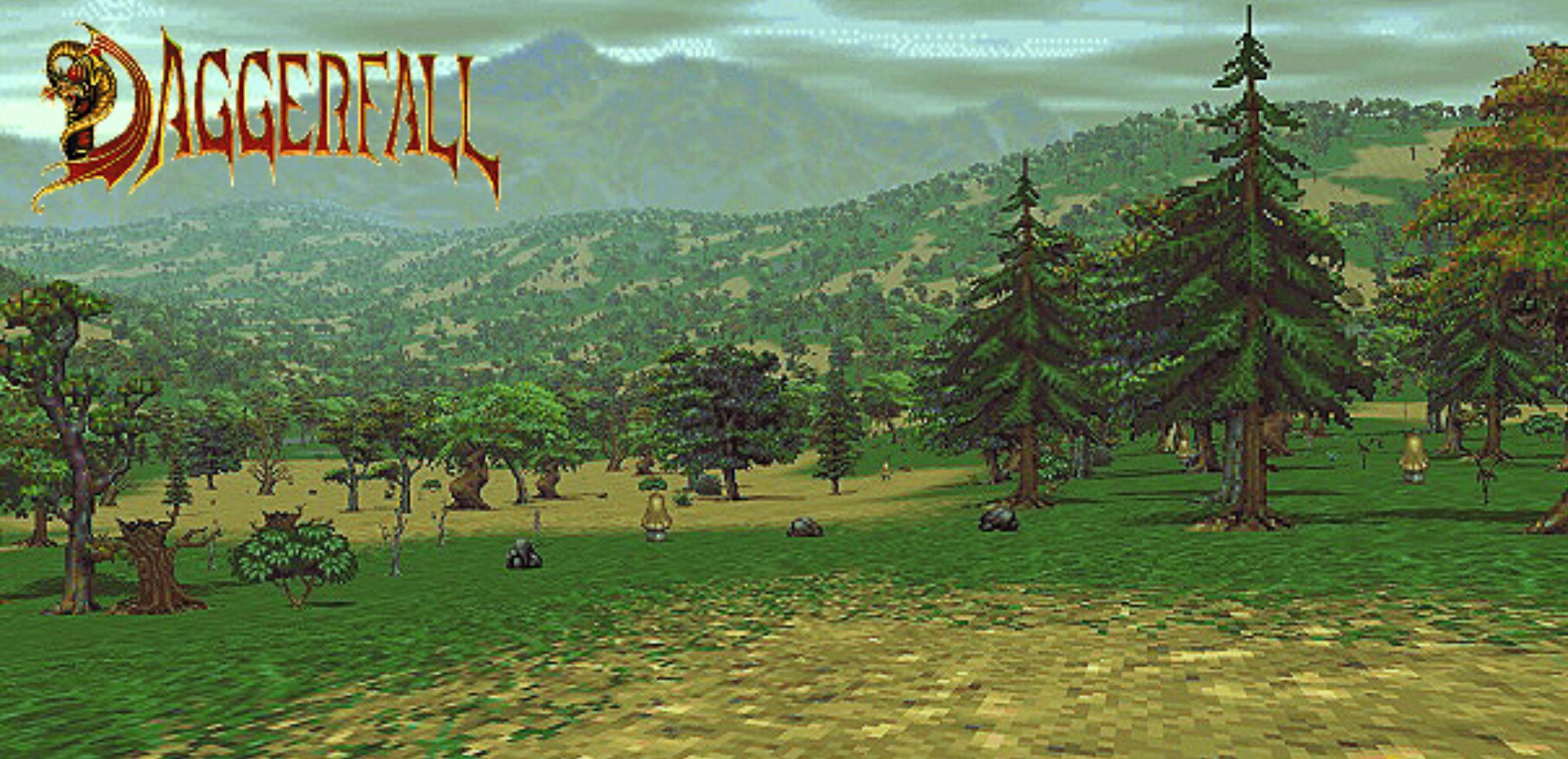 Any Love For The Elder Scrolls: Daggerfall, In All Of Its Low Res Glory? Made With Google Image And Procreate