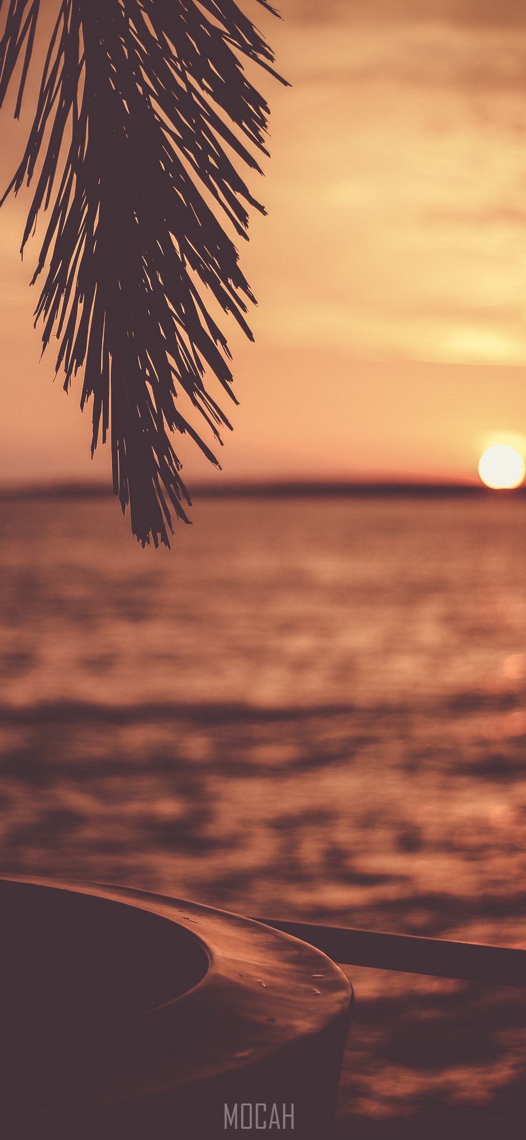 sky sunset palm branch and dusk hd, Xiaomi Redmi Note 7 Pro wallpaper HD download, 1080x2340 Gallery HD Wallpaper