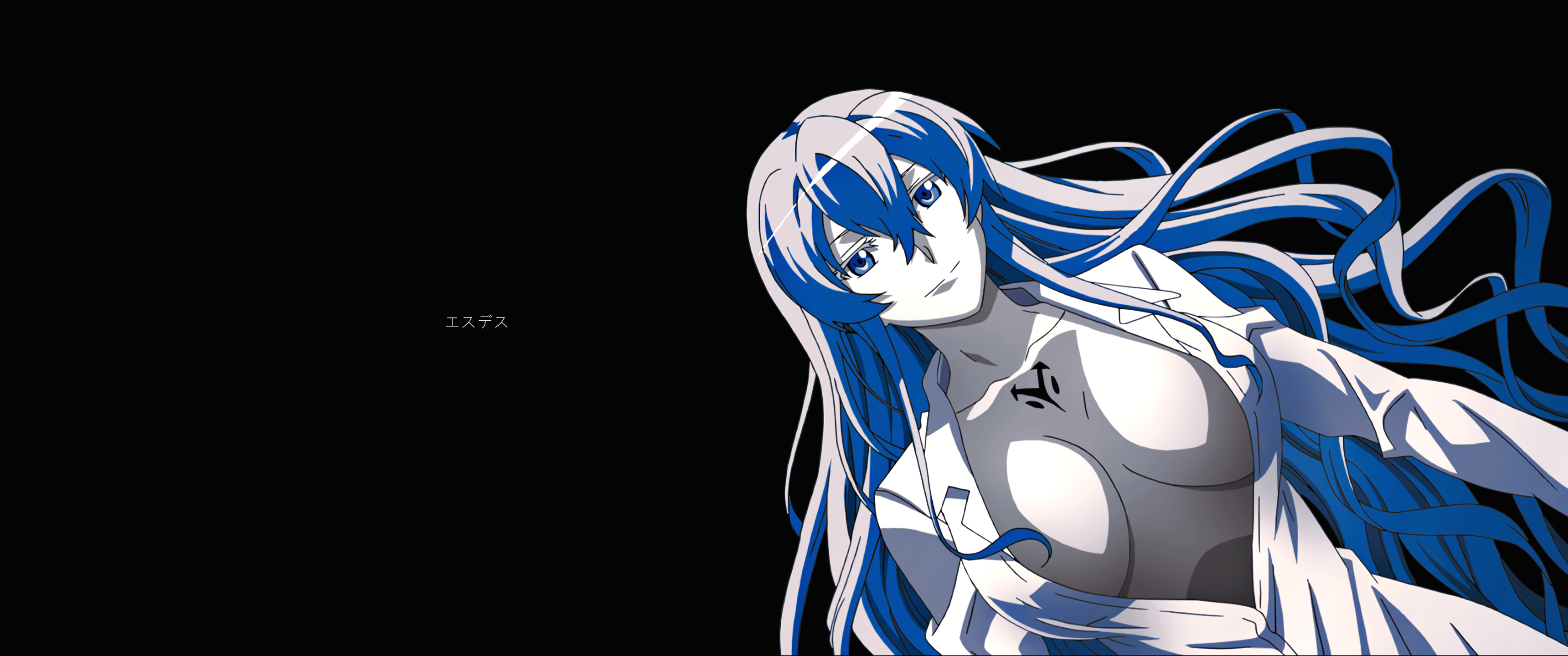 anime, Akame ga Kill!, Esdeath (Akame Ga Kill!)x1440 Wallpaper