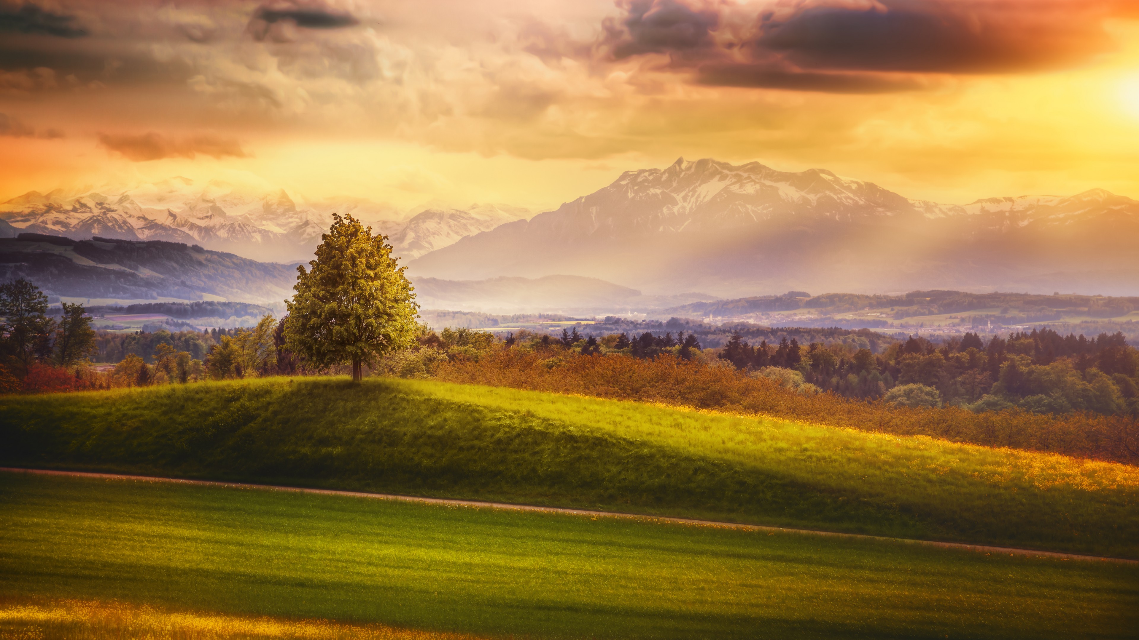 Wallpaper / Switzerland, 4k, 4K wallpaper, 4K, Alps, mountains, meadows, trees free download