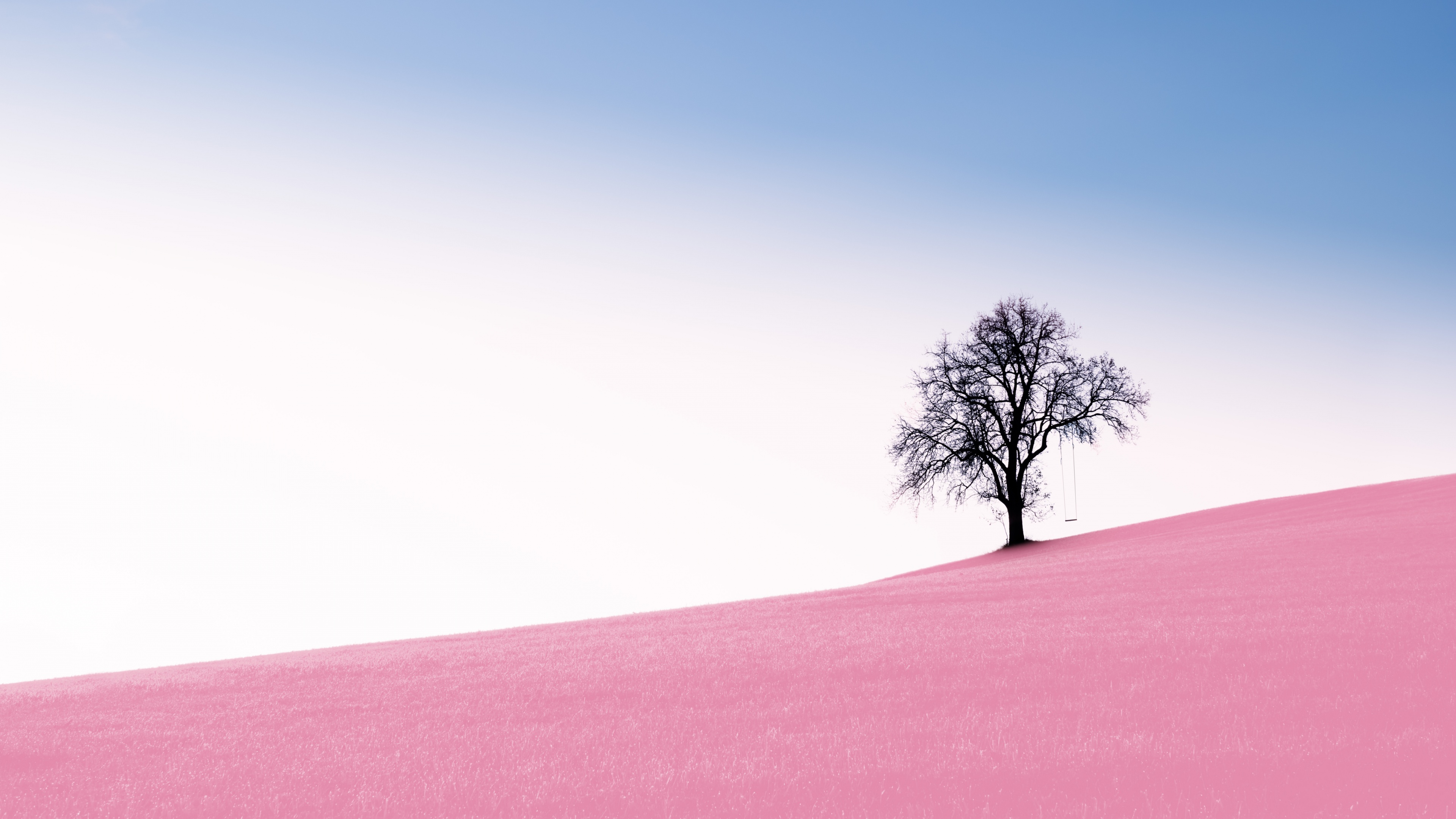 Solitude Tree Wallpaper 4K, Clear sky, Landscape, Surreal
