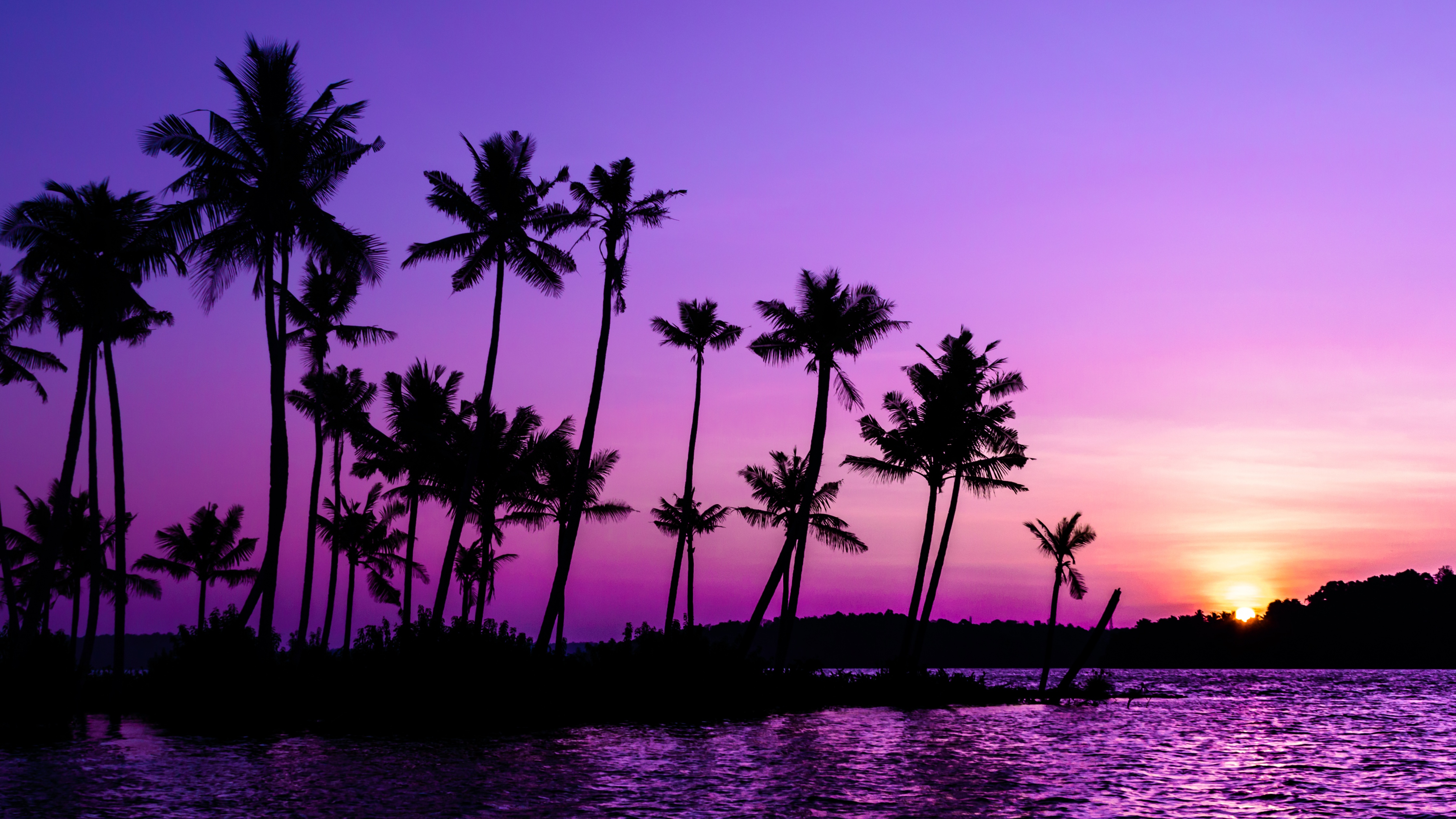 Purple Sunrise Wallpaper 4K, Clear sky, Palm trees, Scenery