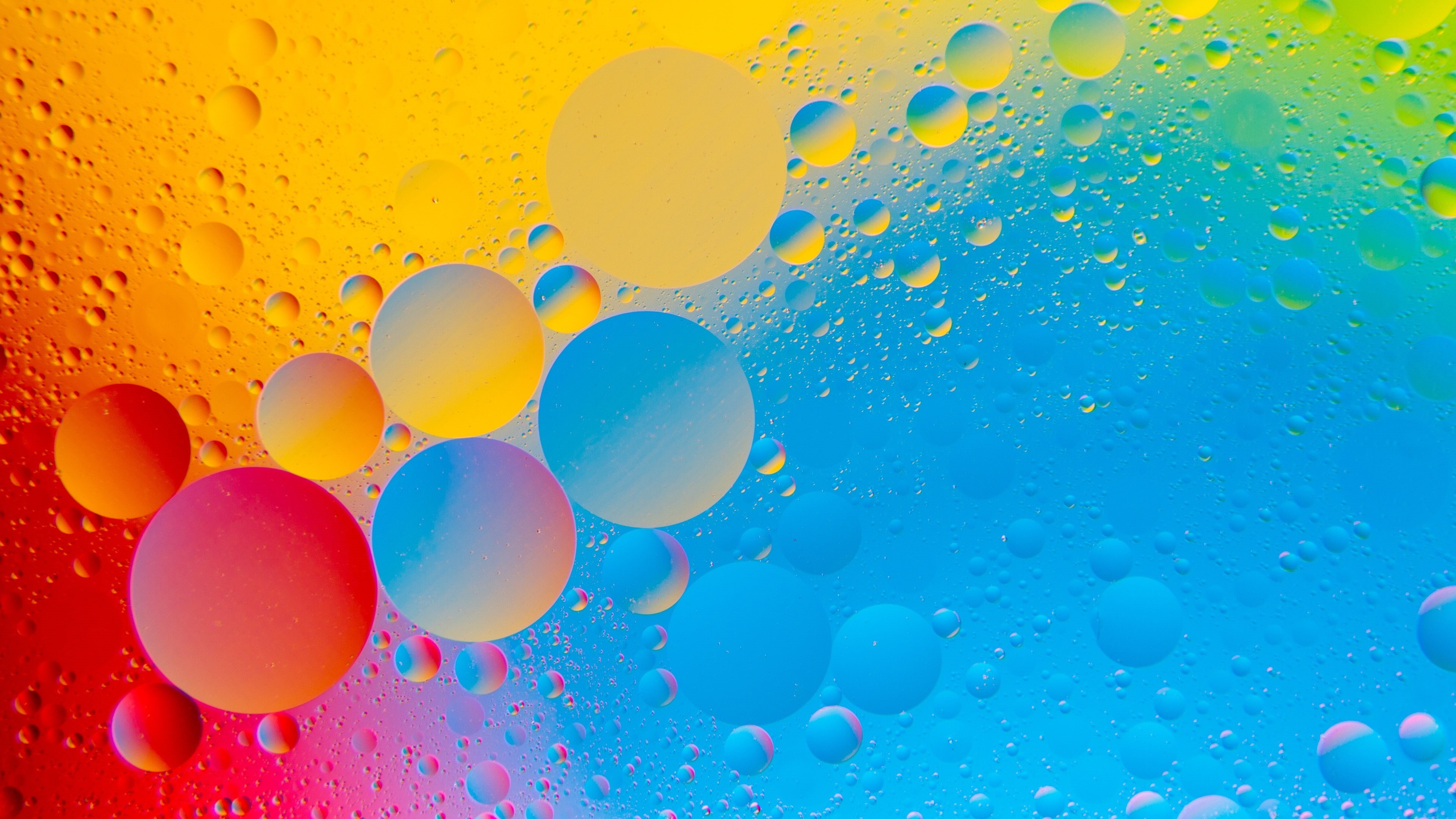 Wallpaper / circles, circle, colorful, 4K, bubble, multicolor, graphics, drop, water, liquid bubble, bubbles free download