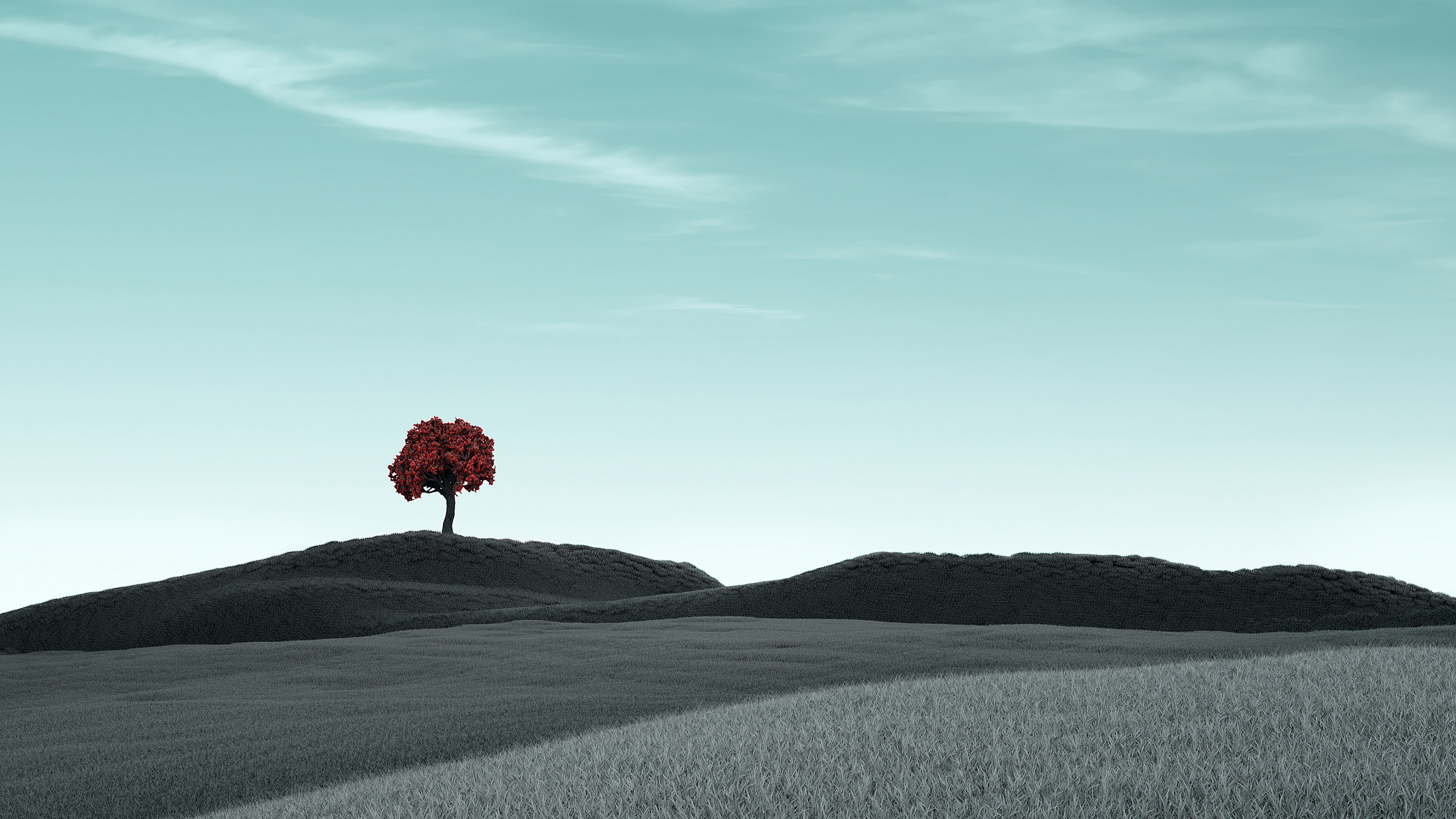 Lone tree Wallpaper 4K, Clear sky, Surreal, Dry fields