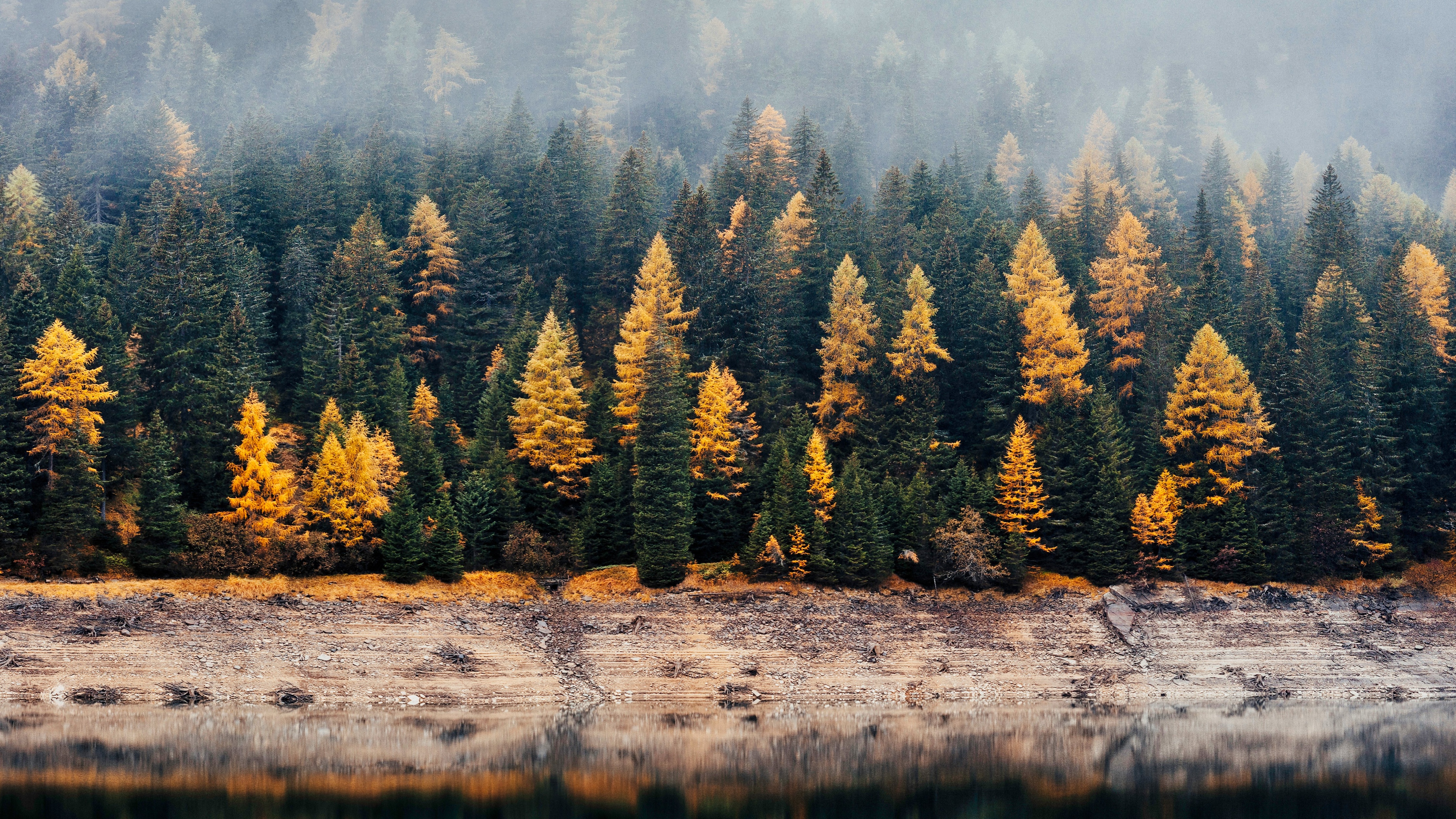 Forest Wallpaper 4K, Reflection, Woods, Autumn, Lake