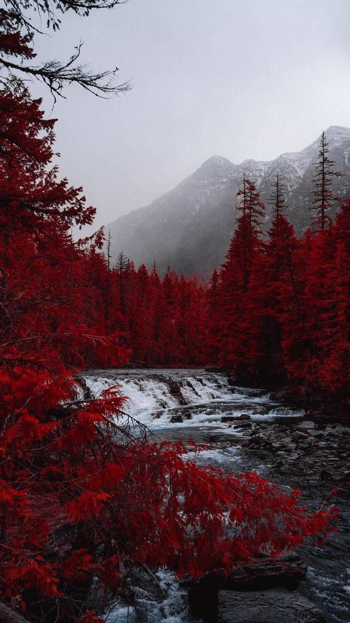 Red Forest Waterfall IPhone Wallpaper Wallpaper. Dark red wallpaper, Red wallpaper, Forest wallpaper iphone