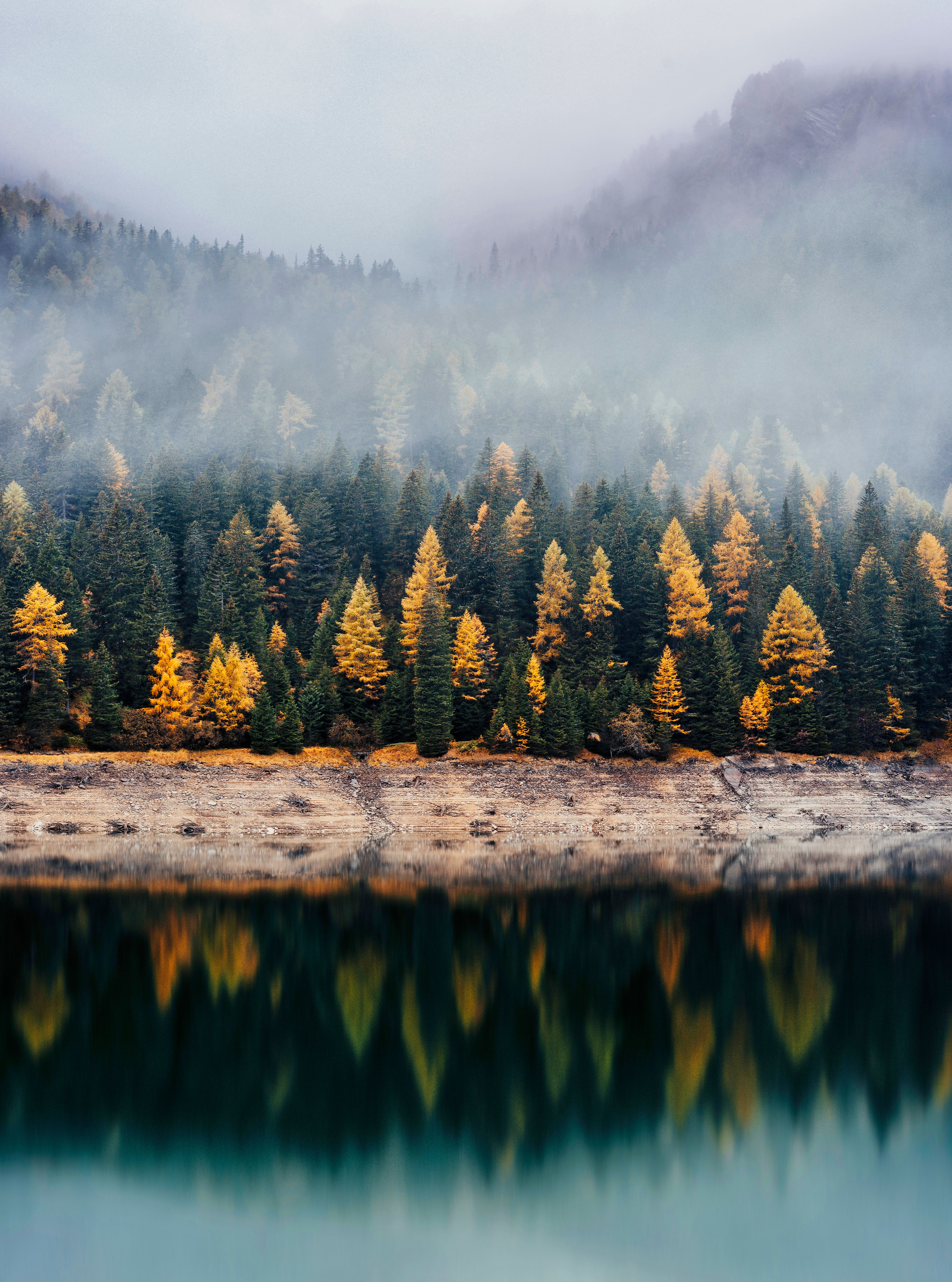 Forest Wallpaper 4K, Reflection, Woods, Autumn, Lake