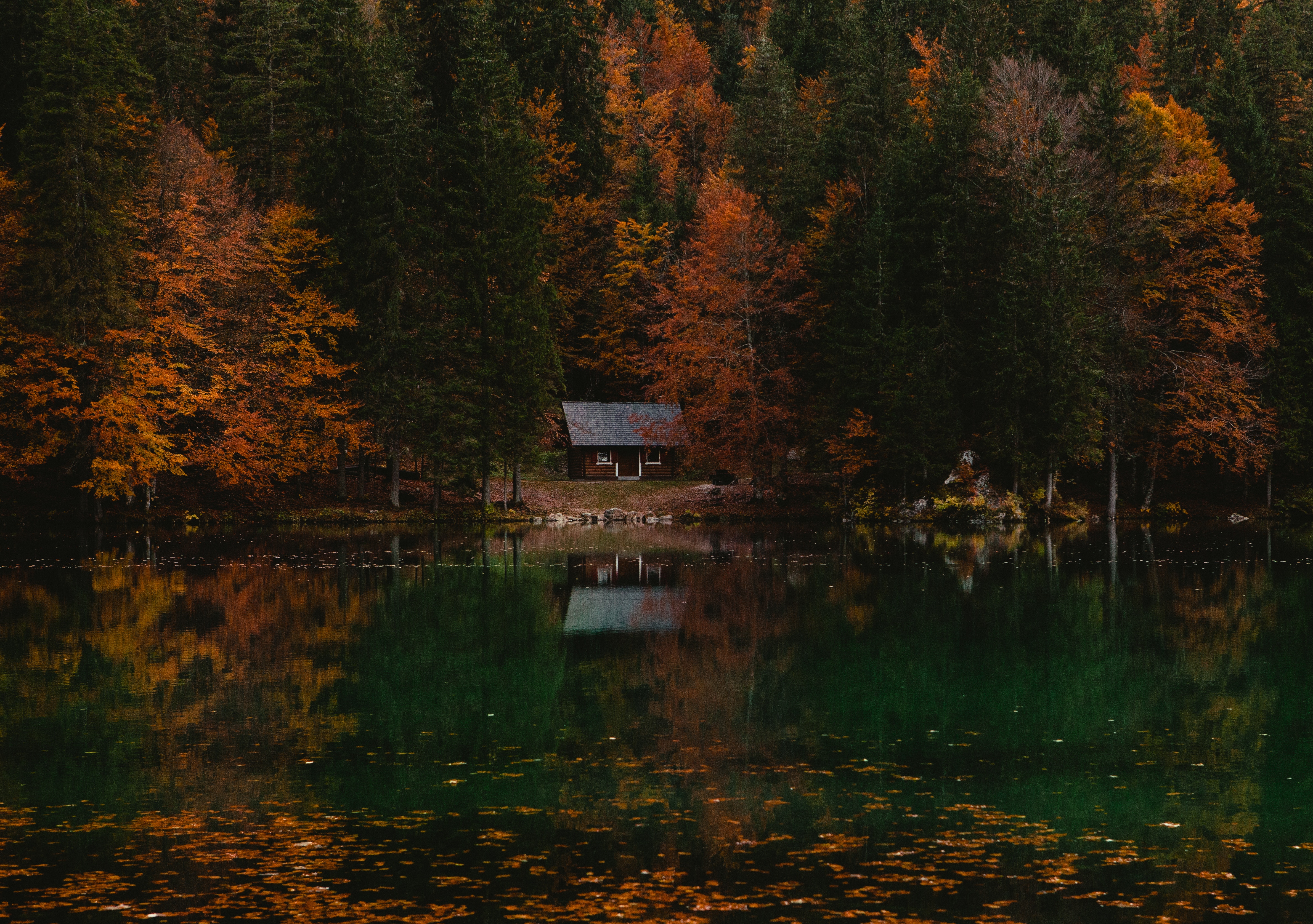 4757x3350 tree, forest, fall wallpaper, wallpaper, fall background, Creative Commons image, lakehouse, evergreen, floating, fall, autumn, leaves, still, lake, boathouse, house, shore, reflection, cabin, pine tree, water Gallery HD