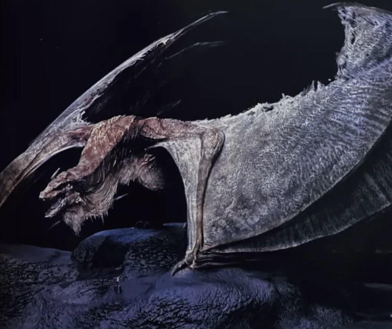 The official design for Vermithor. Older dragons will have saggy necks