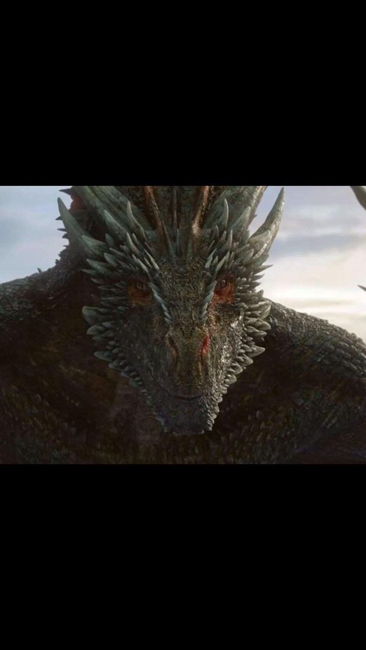 Balerion To Vermithor; Every Dragon In 'House Of The Dragon' Ranked By Size