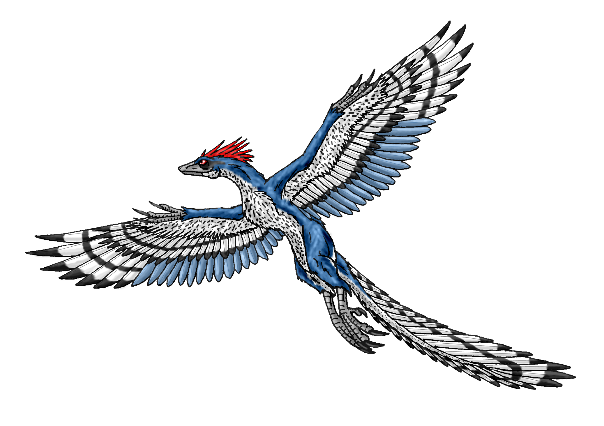 Archaeopteryx HD Wallpaper and Background