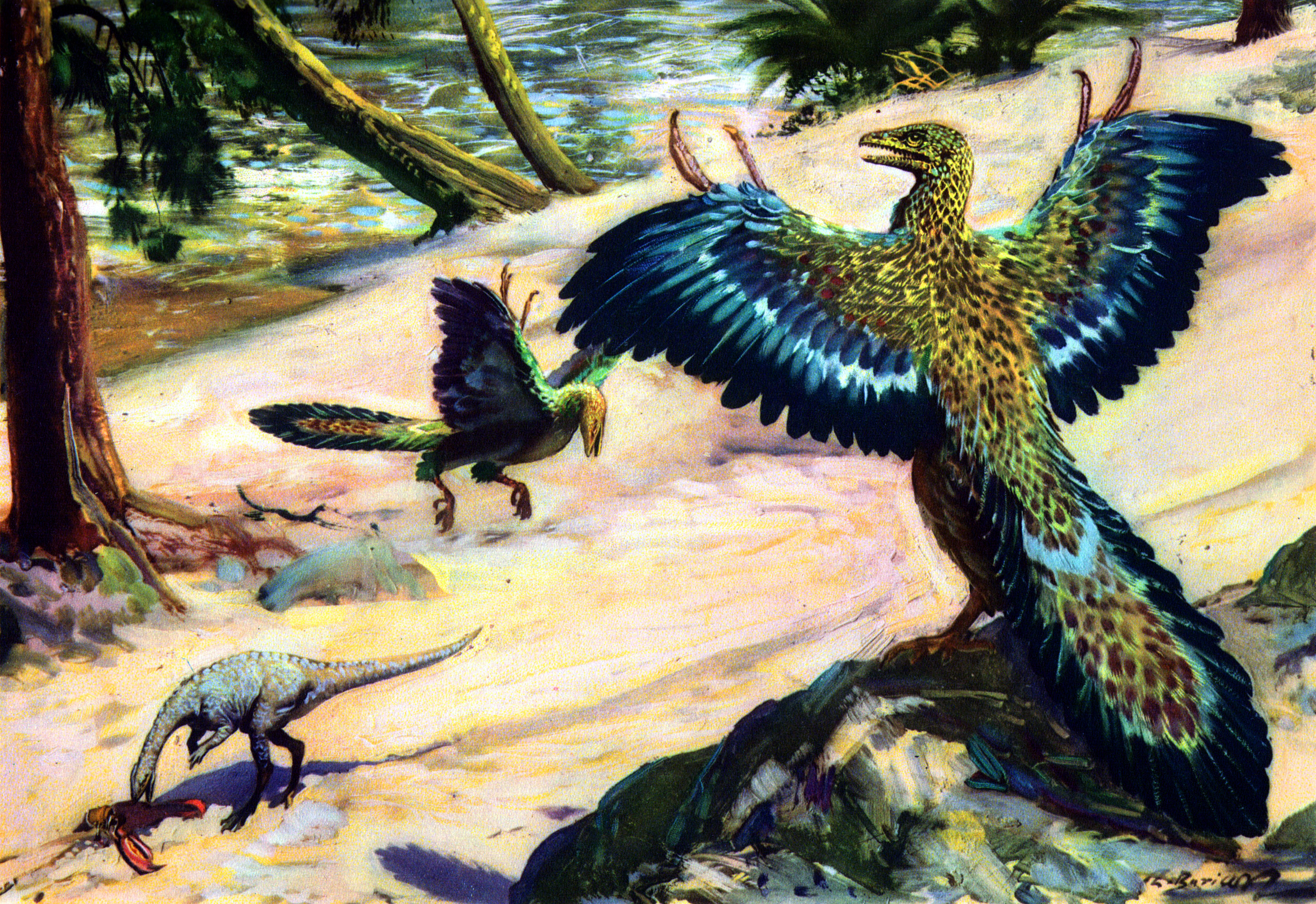 Archaeopteryx HD Wallpaper